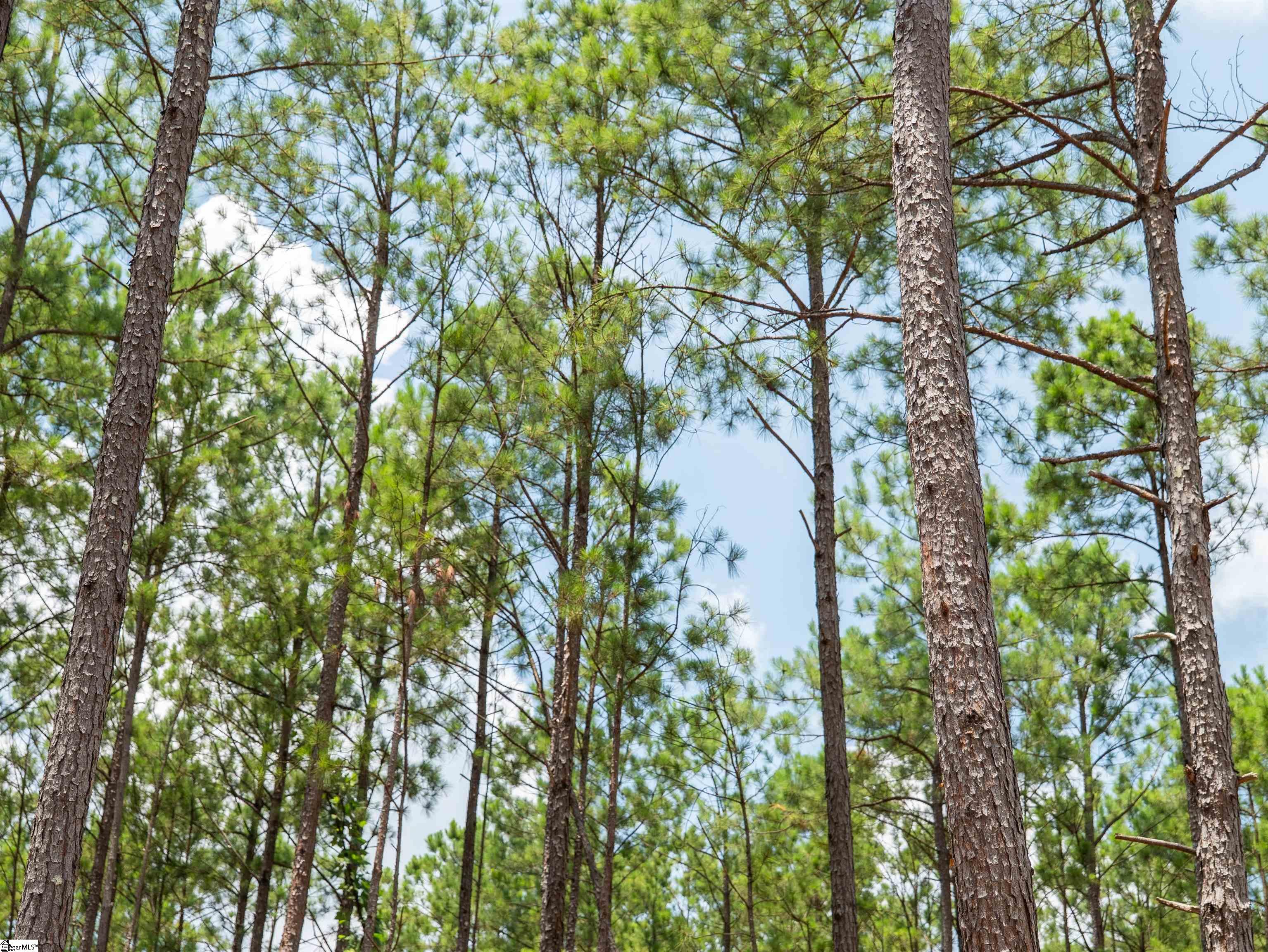 00 Cheek Road UNIT Lot 12 Gray Court, SC 29645