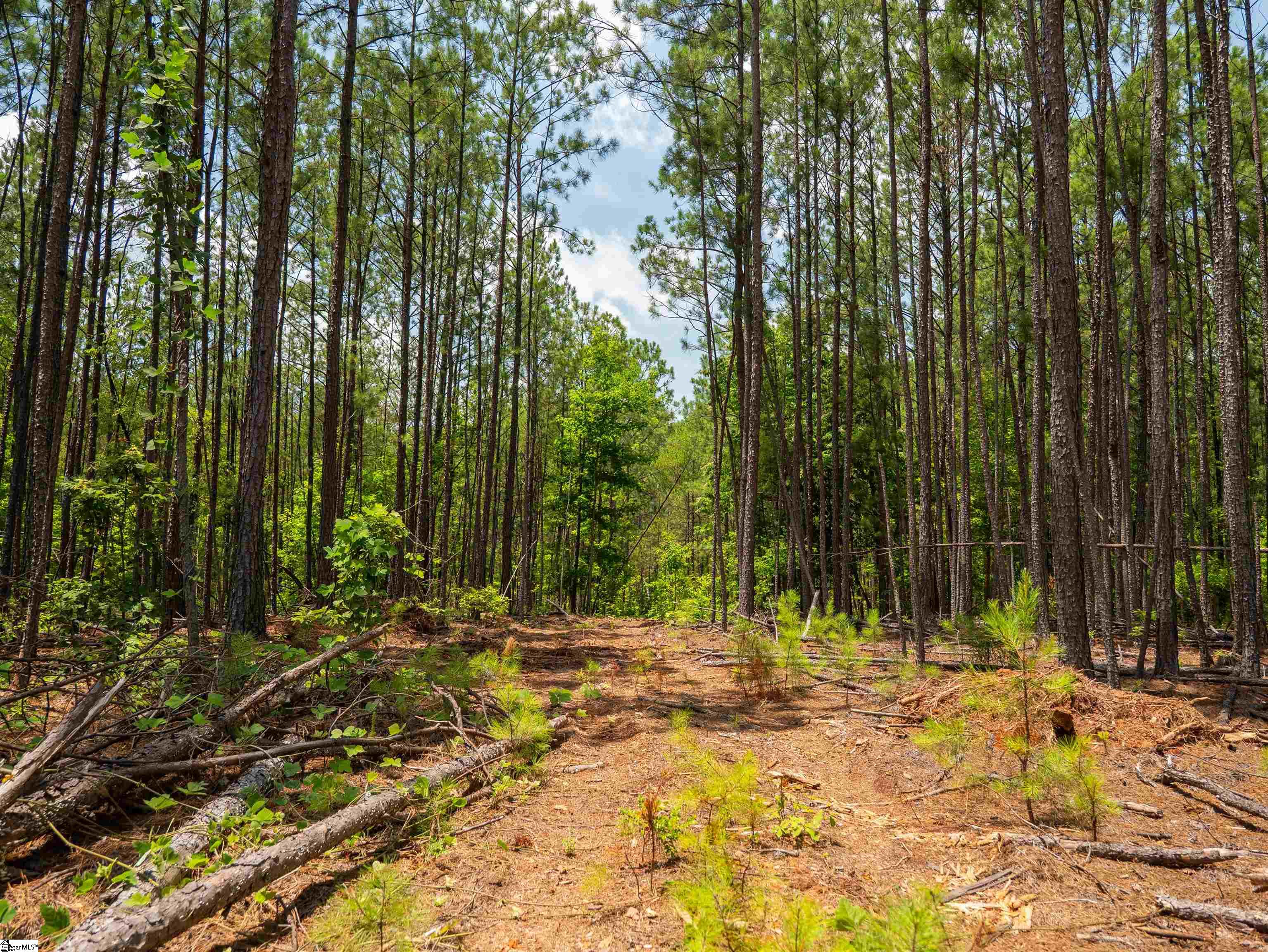 00 Cheek Road UNIT Lot 12 Gray Court, SC 29645