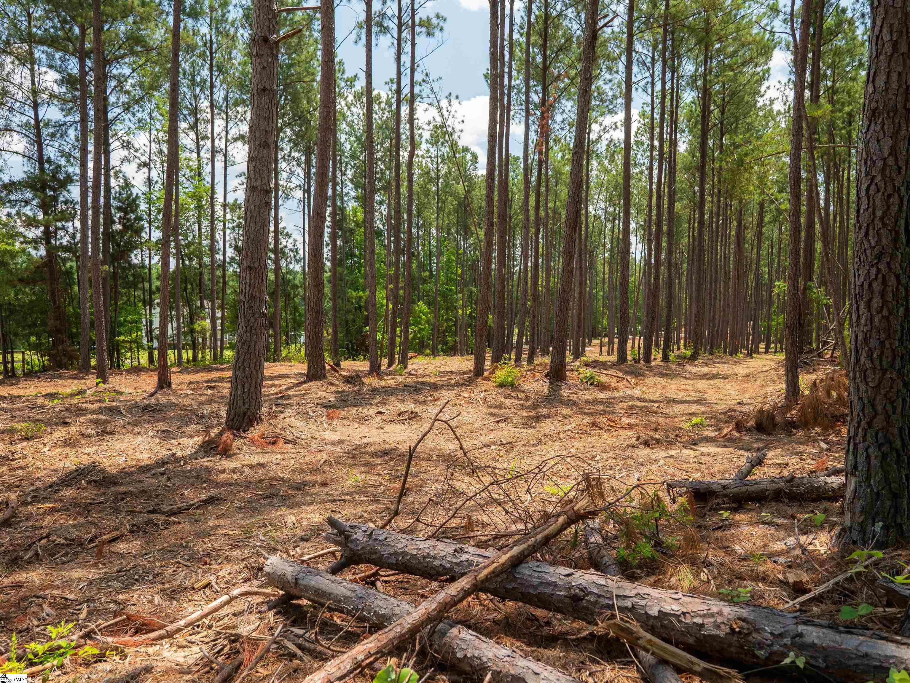 00 Cheek Road UNIT Lot 12 Gray Court, SC 29645