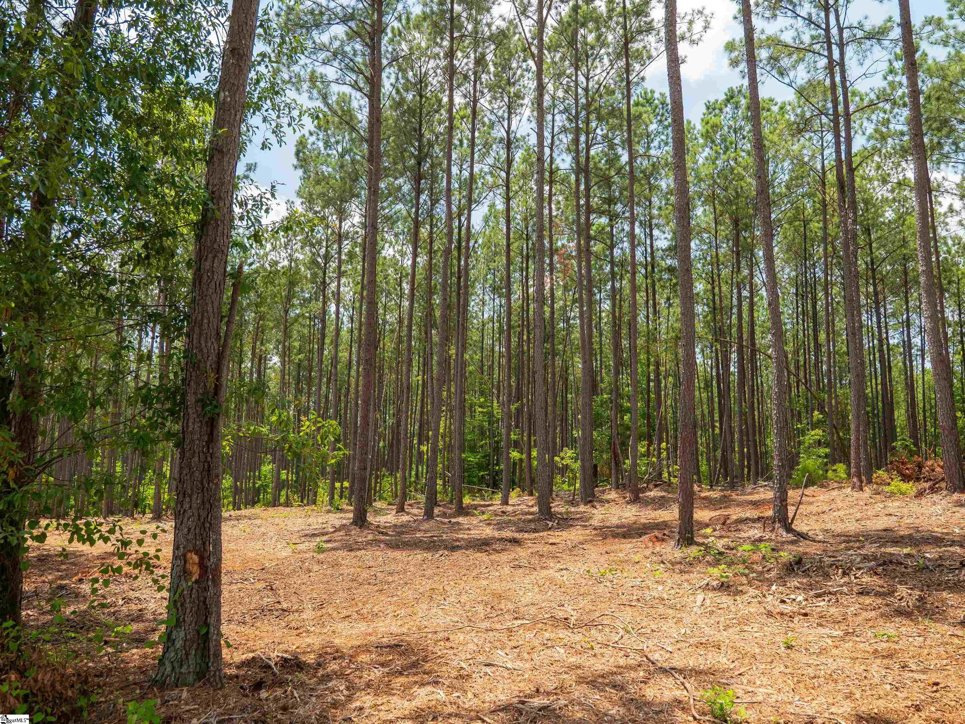00 Cheek Road UNIT Lot 12 Gray Court, SC 29645