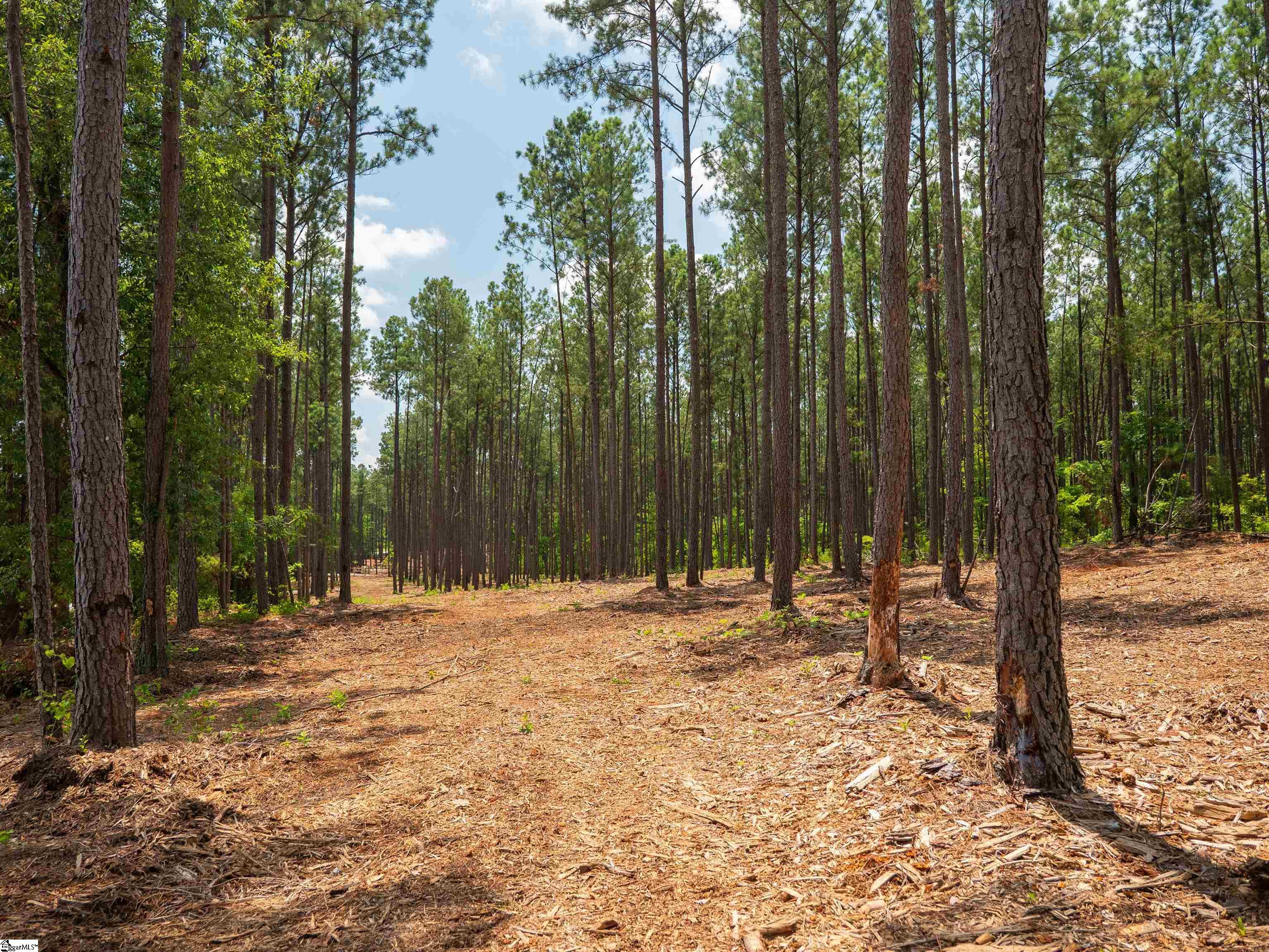 00 Cheek Road UNIT Lot 12 Gray Court, SC 29645