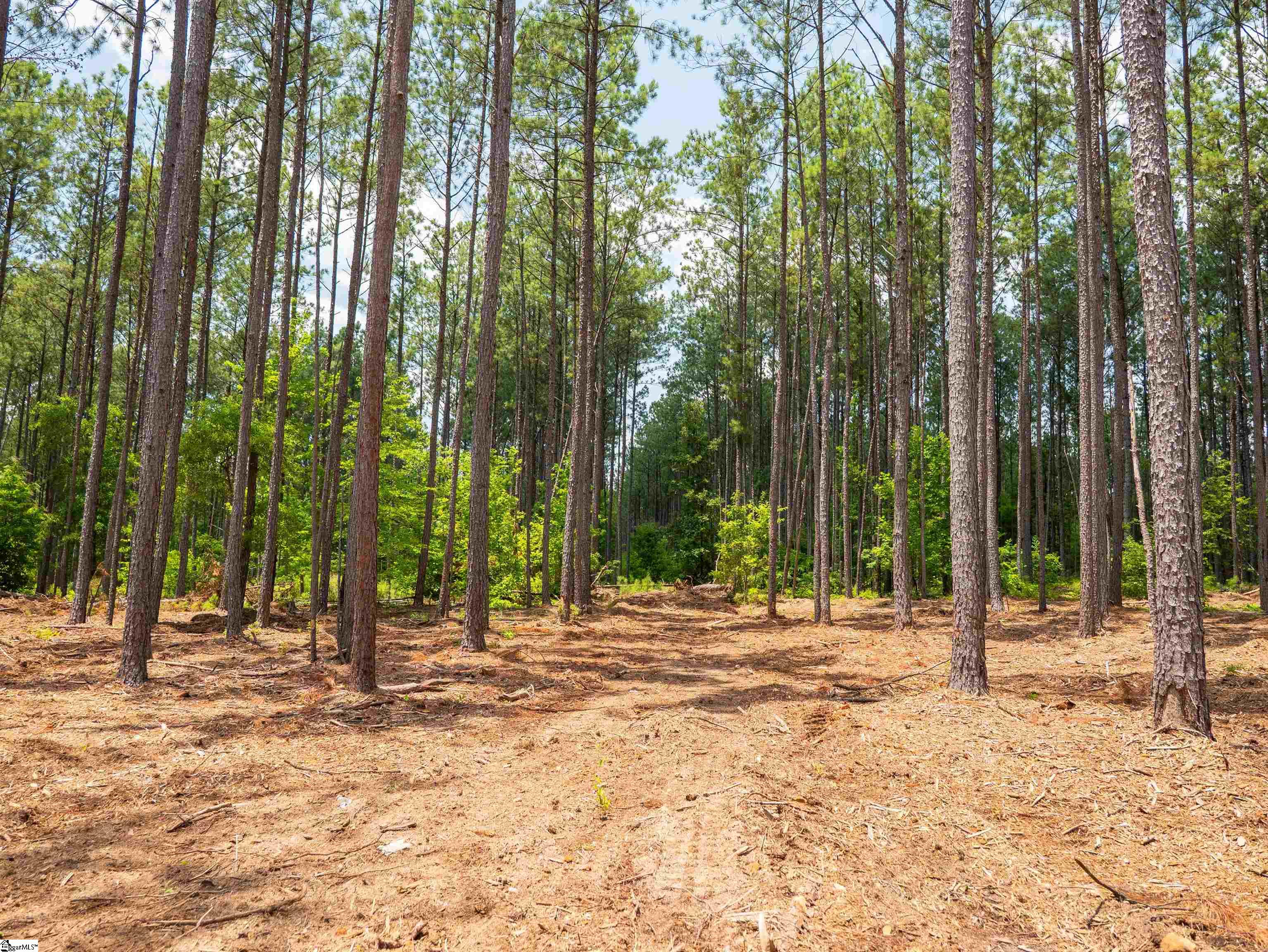 00 Cheek Road UNIT Lot 13 Gray Court, SC 29645