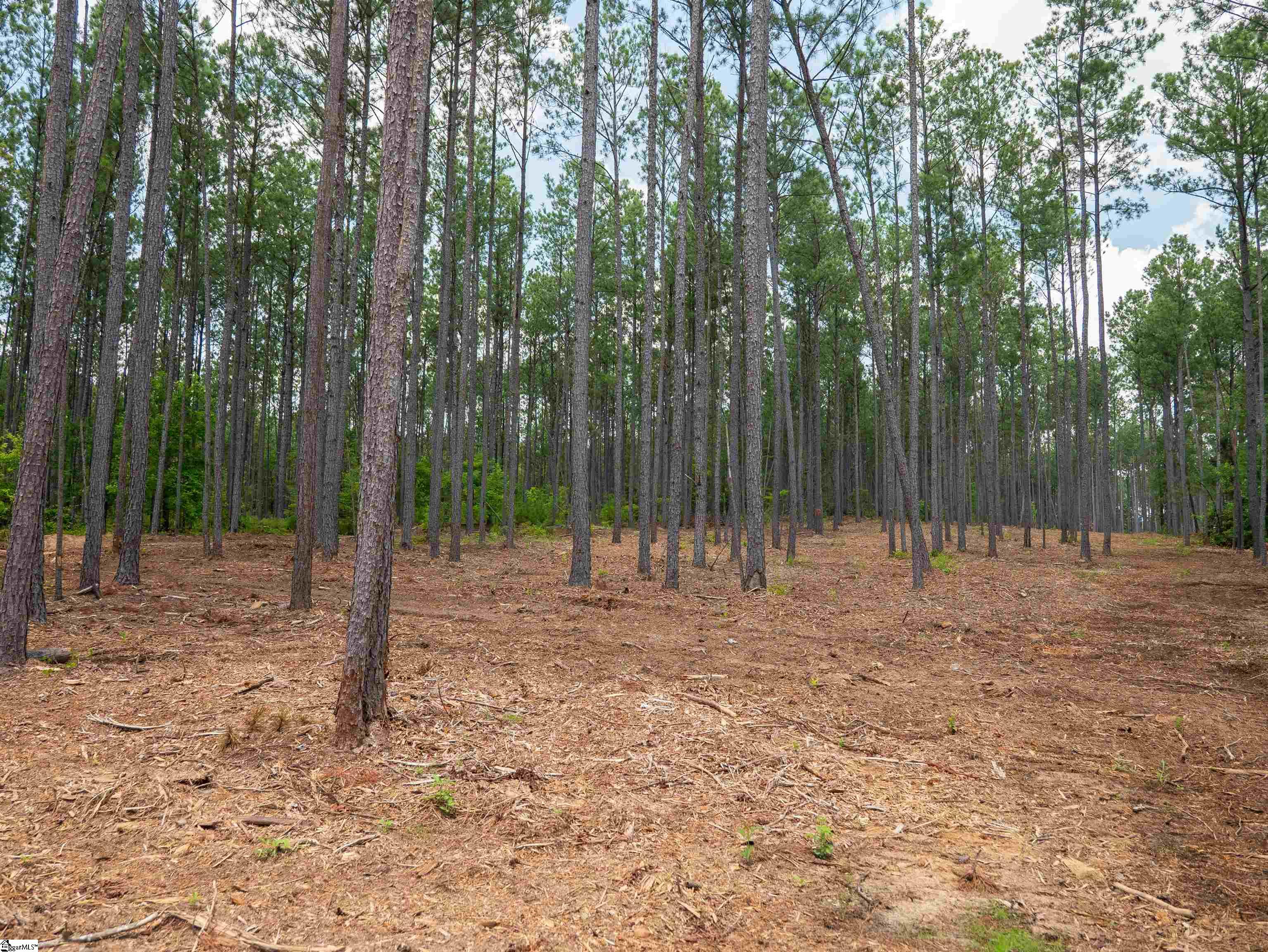 00 Cheek Road UNIT Lot 13 Gray Court, SC 29645