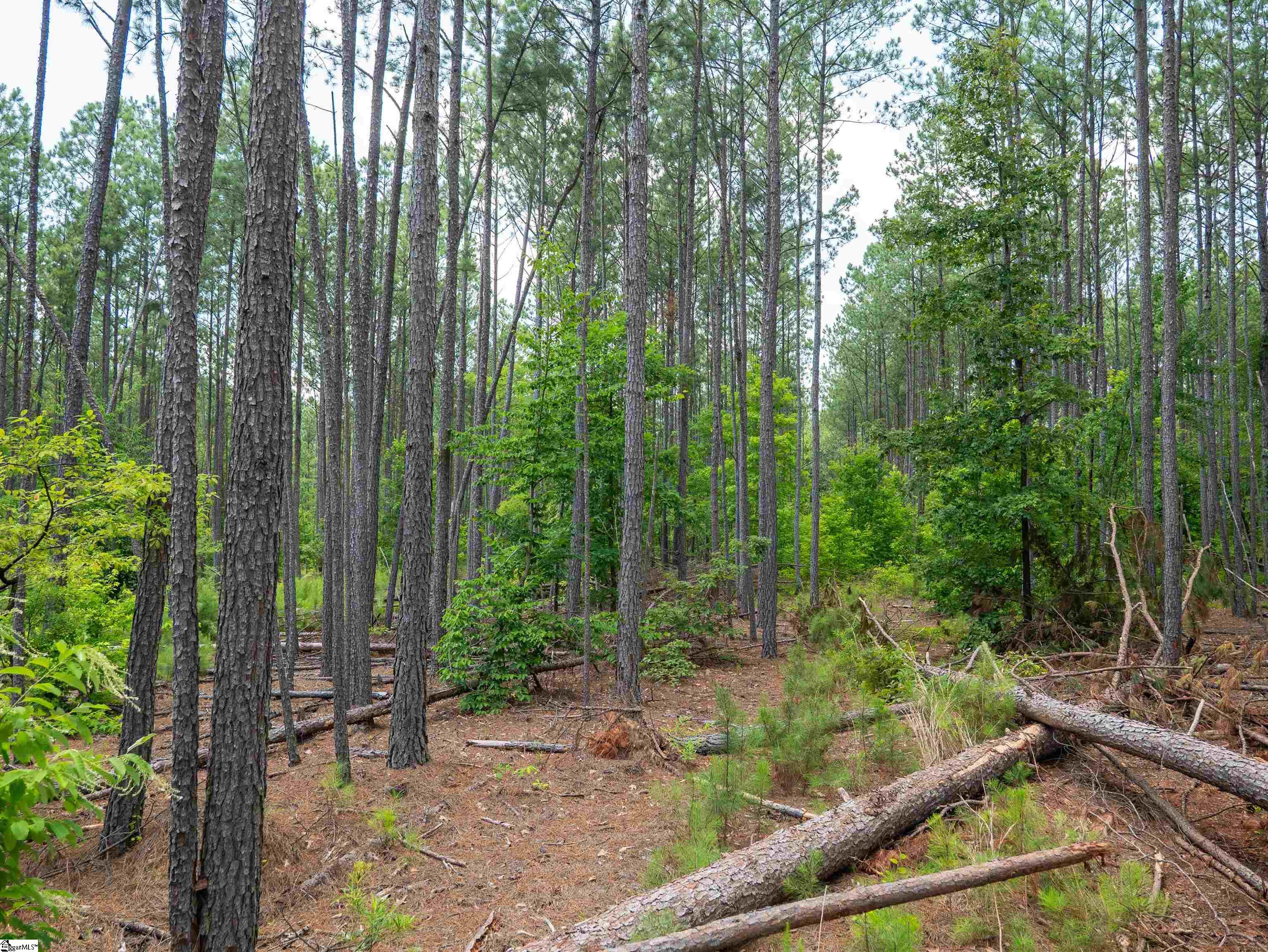 00 Cheek Road UNIT Lot 13 Gray Court, SC 29645