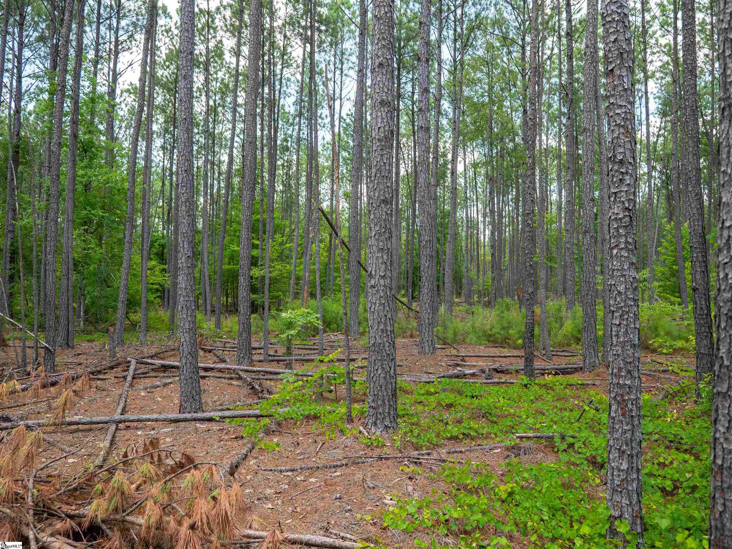 00 Cheek Road UNIT Lot 13 Gray Court, SC 29645