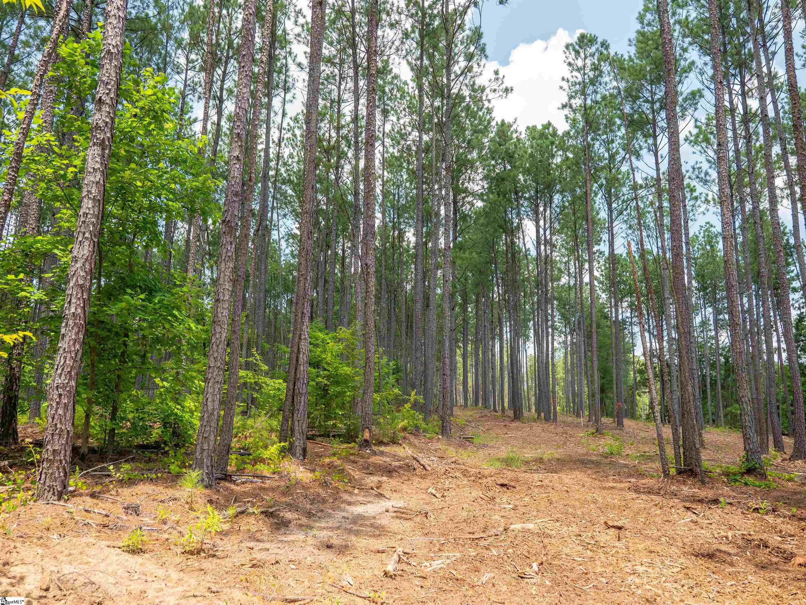 00 Cheek Road UNIT Lot 13 Gray Court, SC 29645