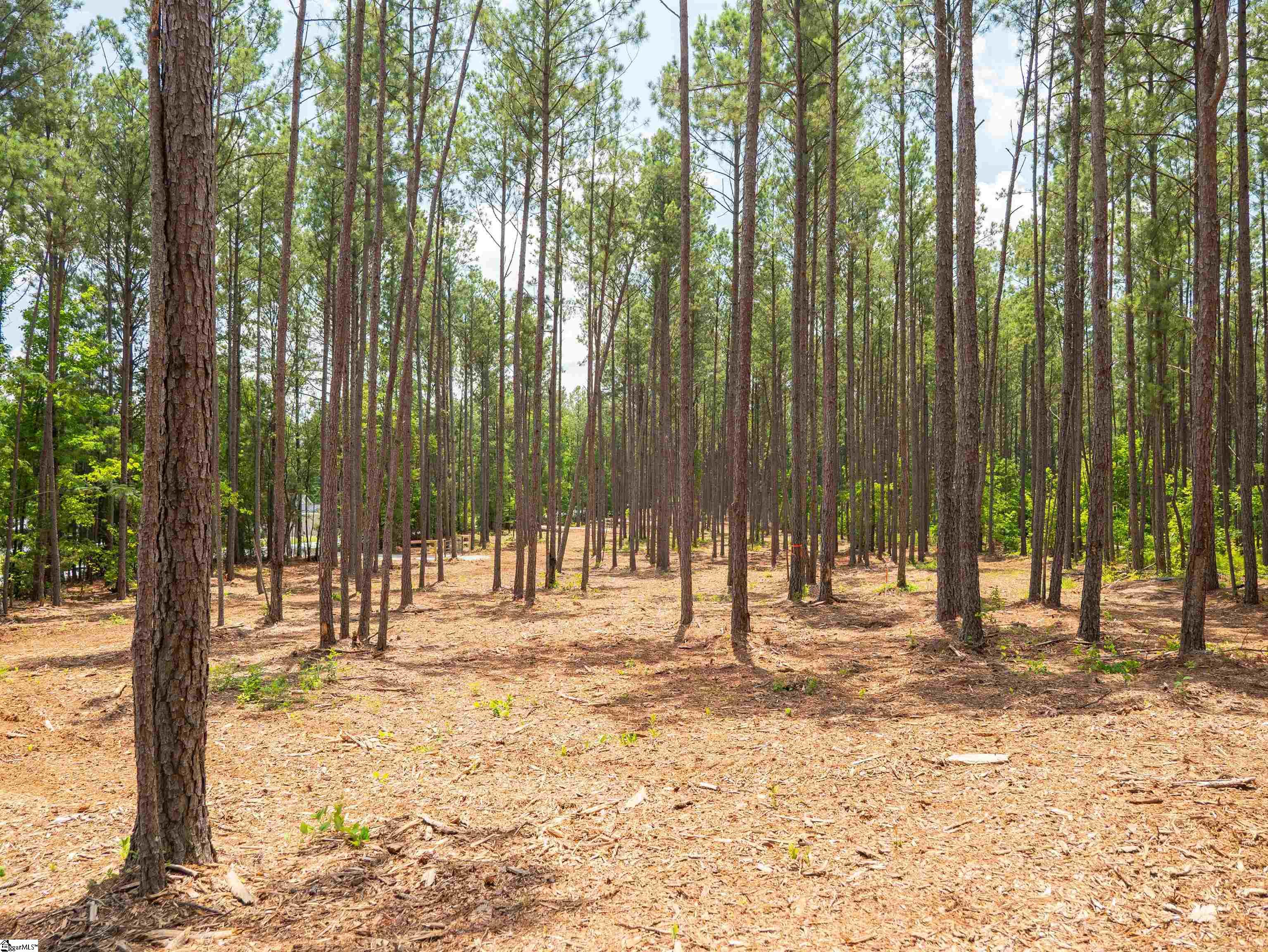 00 Cheek Road UNIT Lot 13 Gray Court, SC 29645