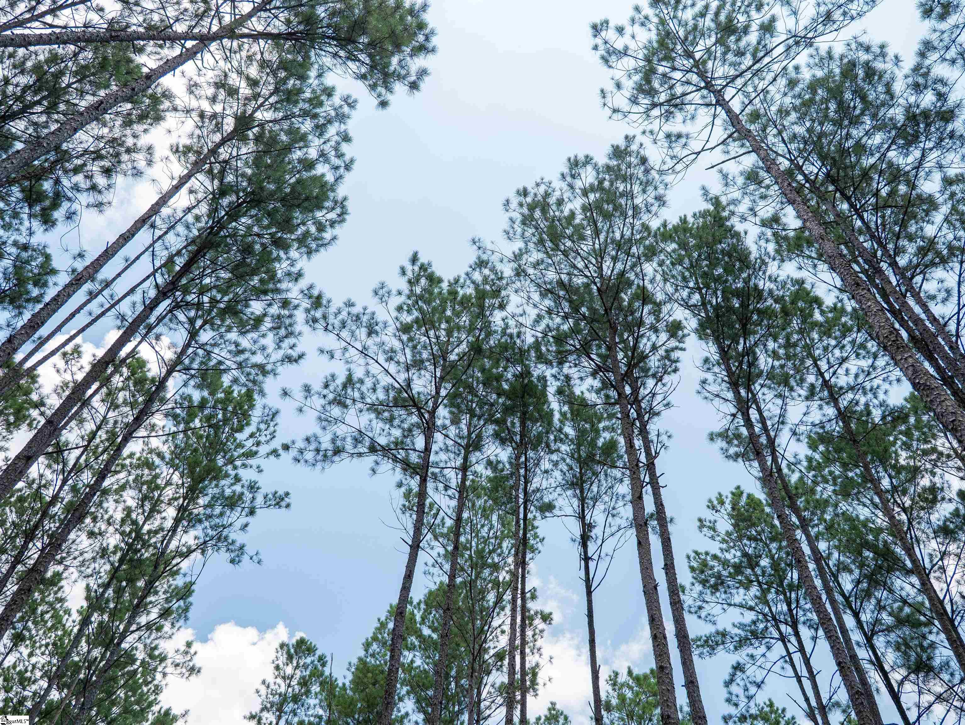 00 Cheek Road UNIT Lot 13 Gray Court, SC 29645