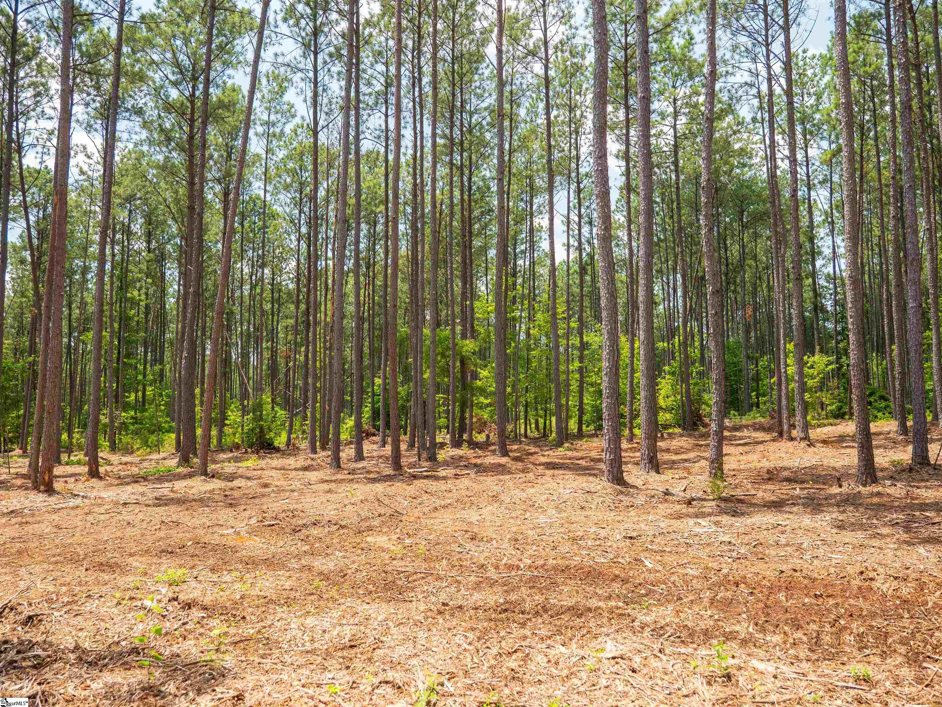 00 Cheek Road UNIT Lot 13 Gray Court, SC 29645