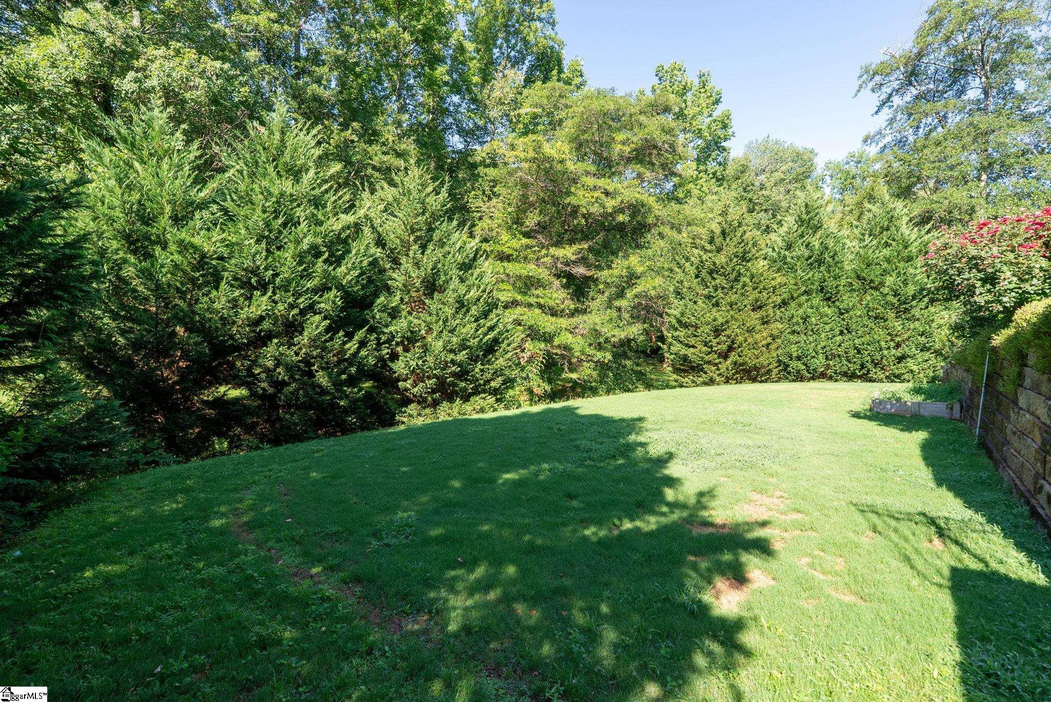 10 Colonel Storrs Court Greer, SC 29650