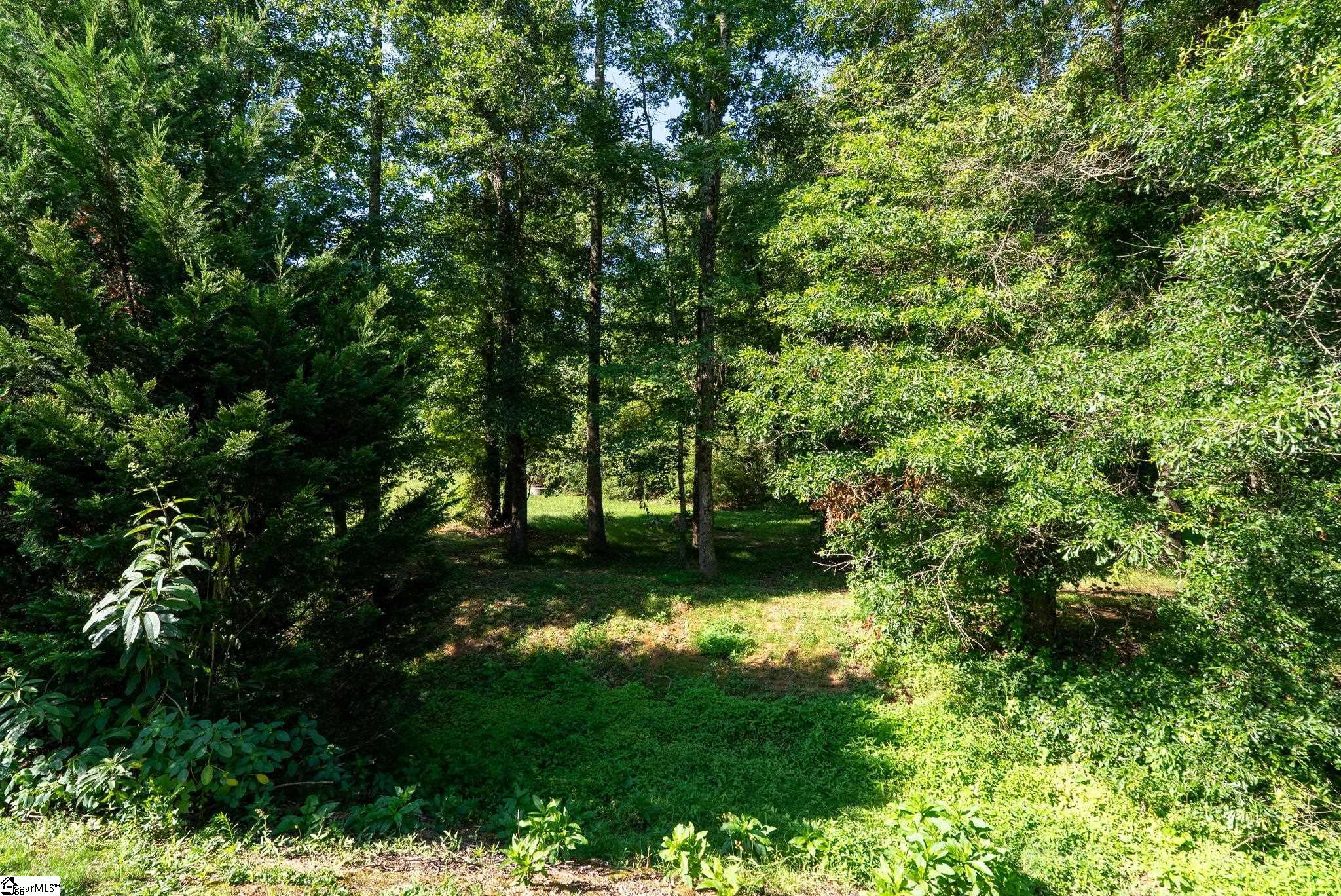 10 Colonel Storrs Court Greer, SC 29650
