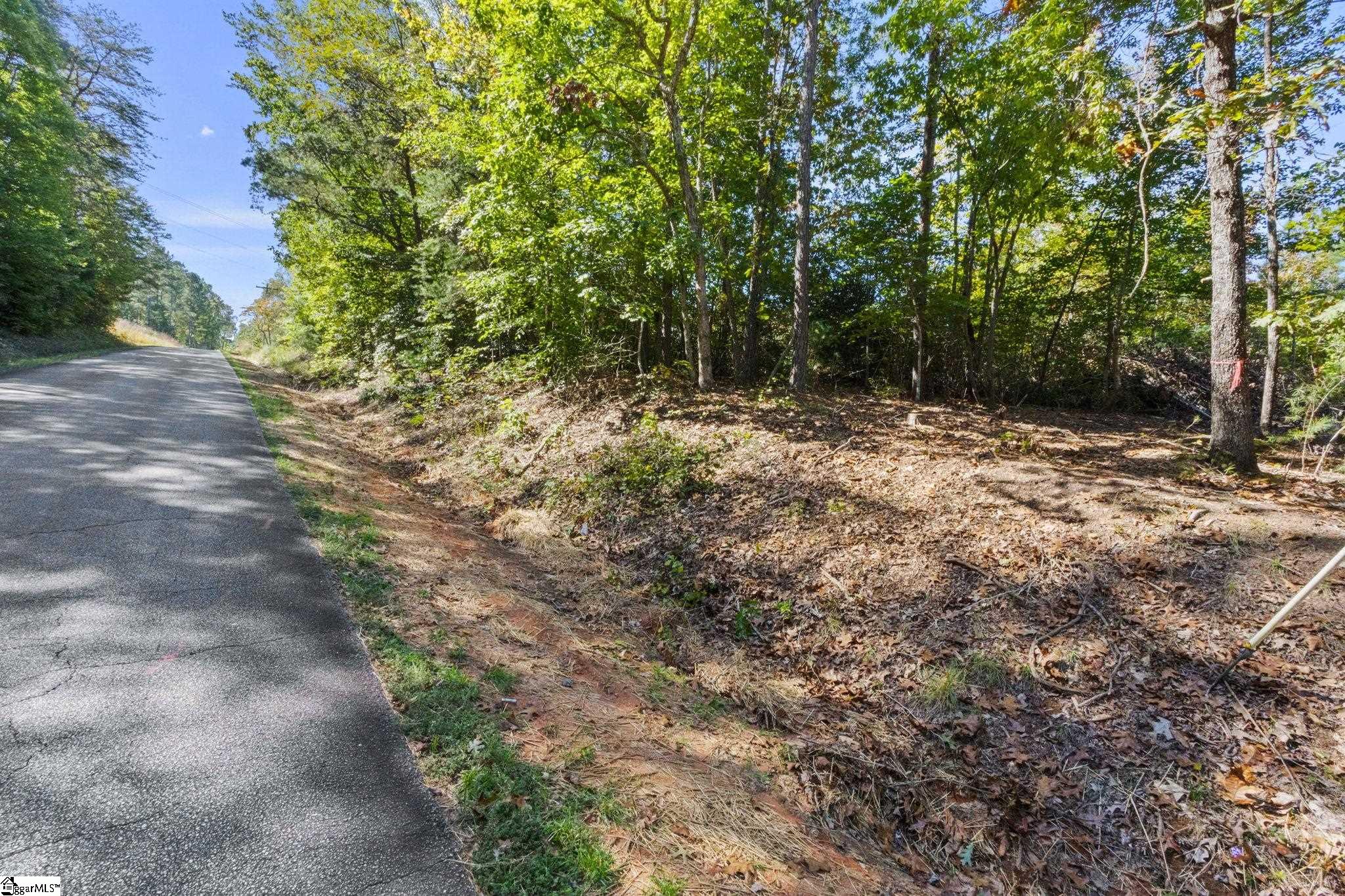 313 Arledge Road Landrum, SC 29356