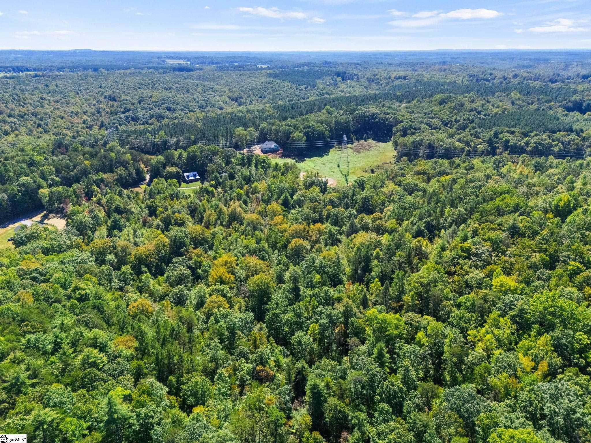 313 Arledge Road Landrum, SC 29356