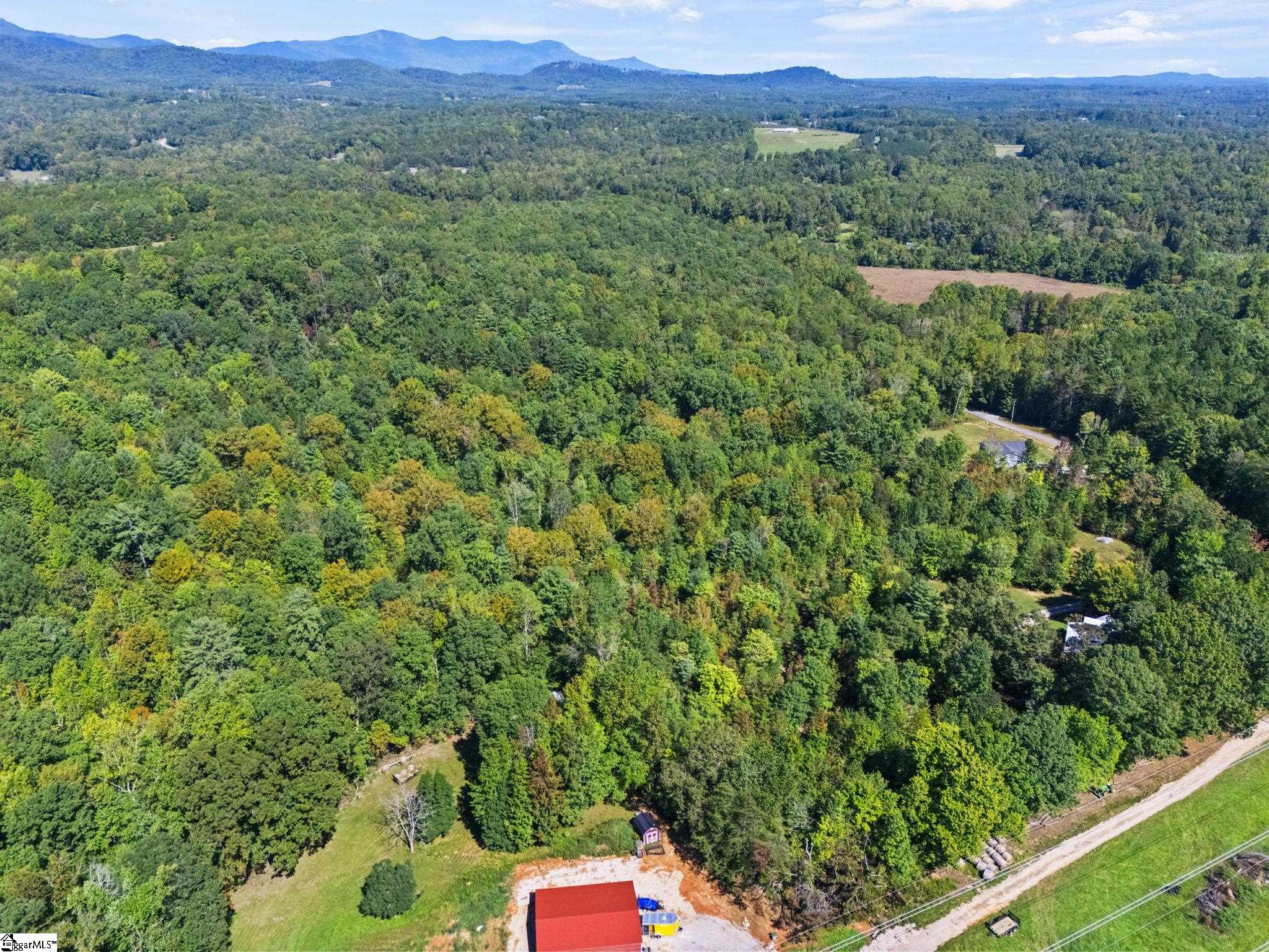 313 Arledge Road Landrum, SC 29356