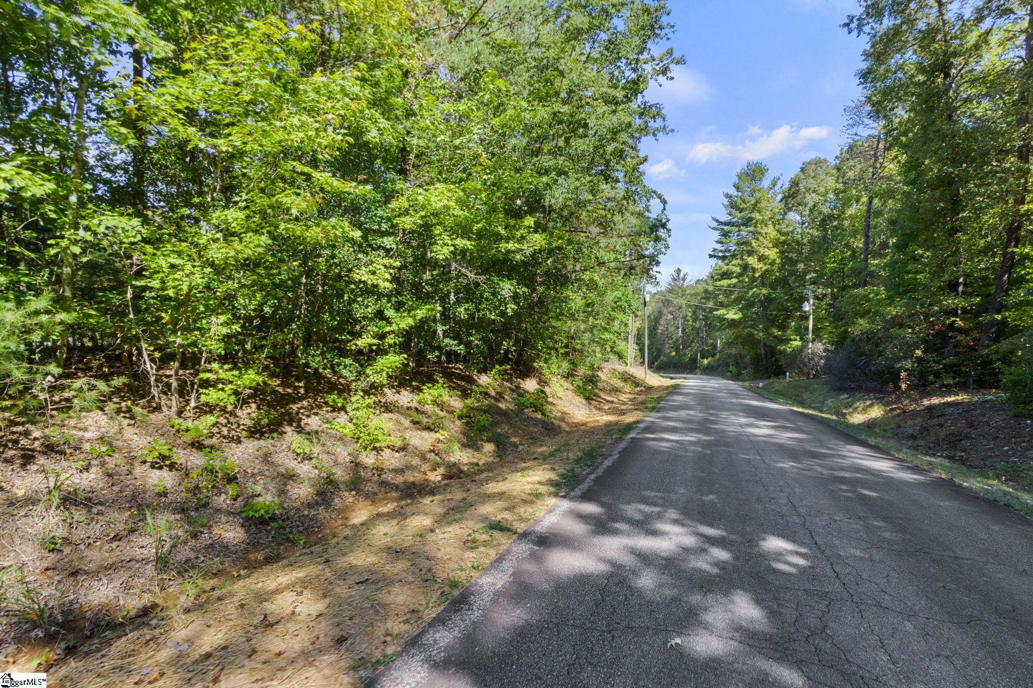 313 Arledge Road Landrum, SC 29356