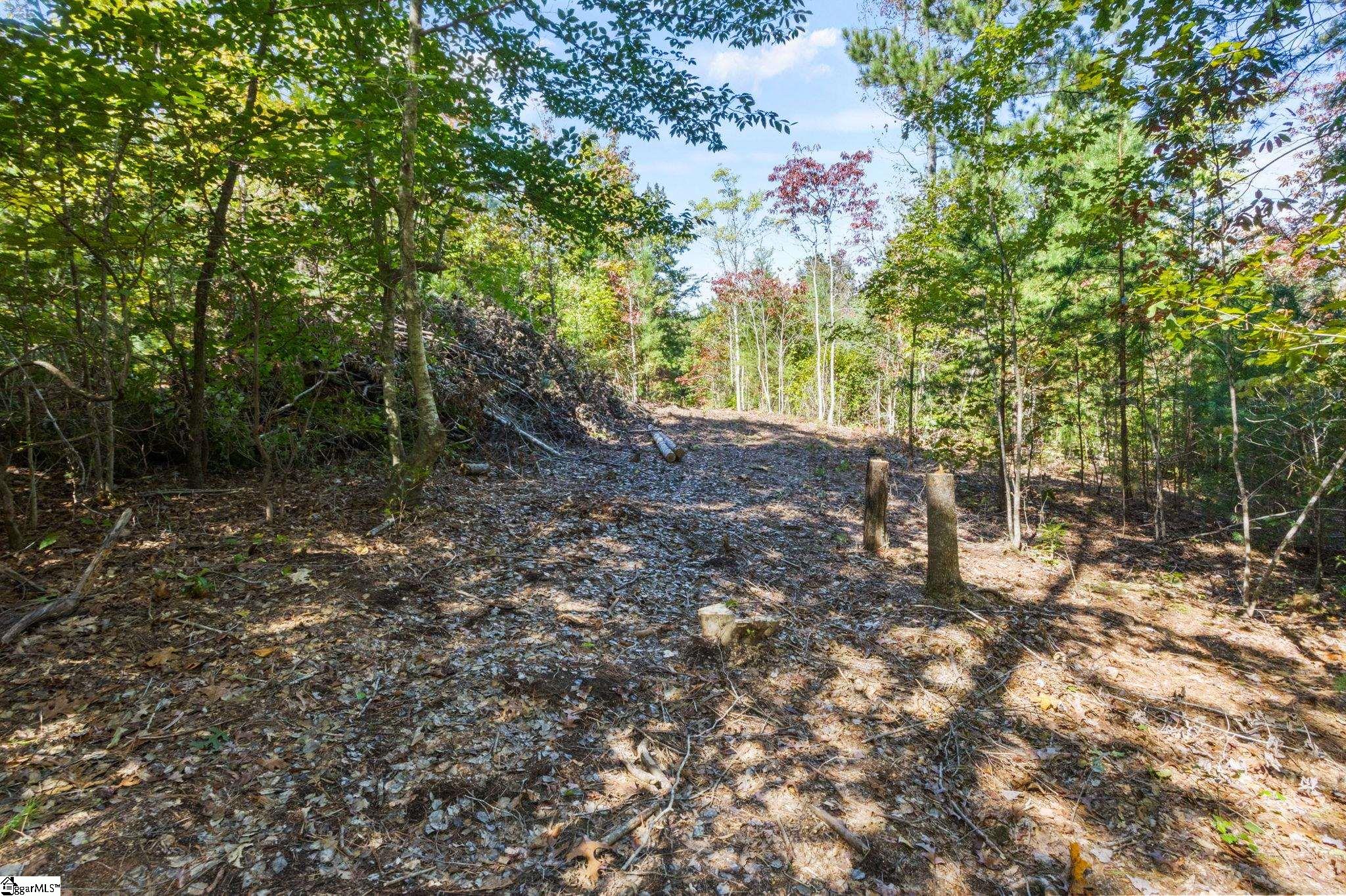 313 Arledge Road Landrum, SC 29356
