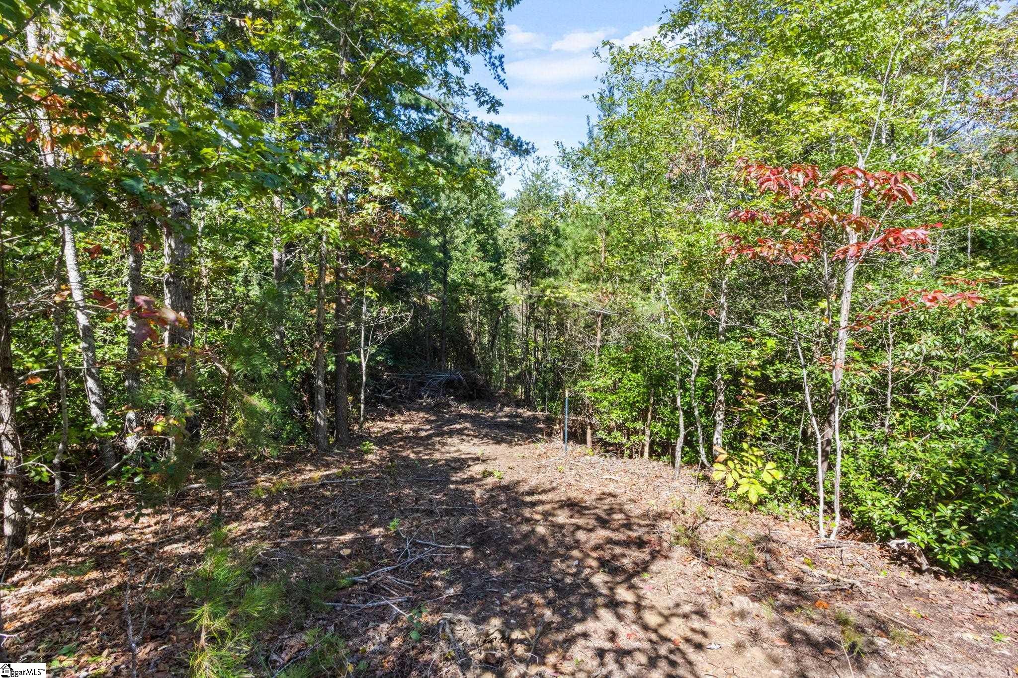 313 Arledge Road Landrum, SC 29356