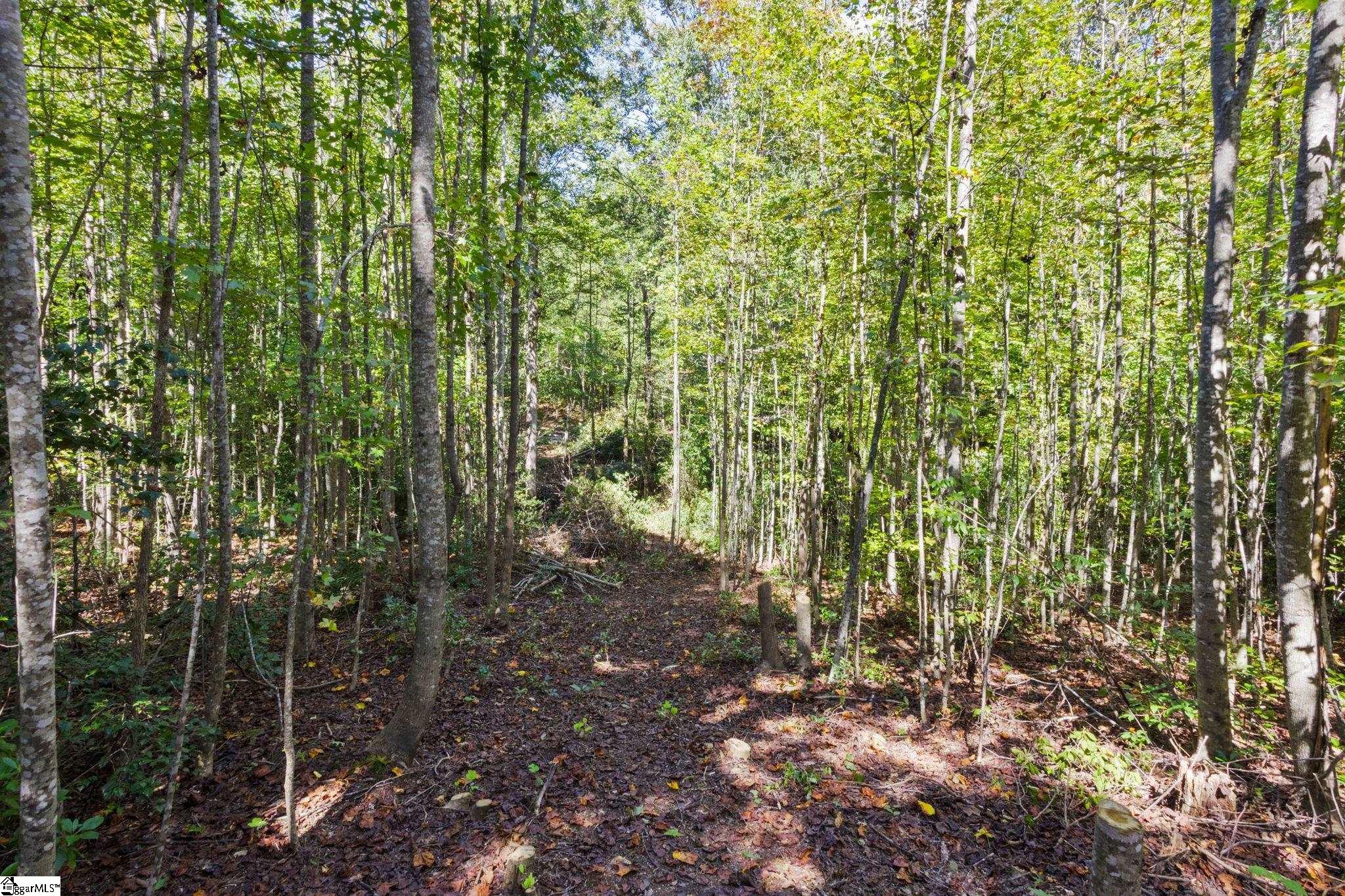 313 Arledge Road Landrum, SC 29356