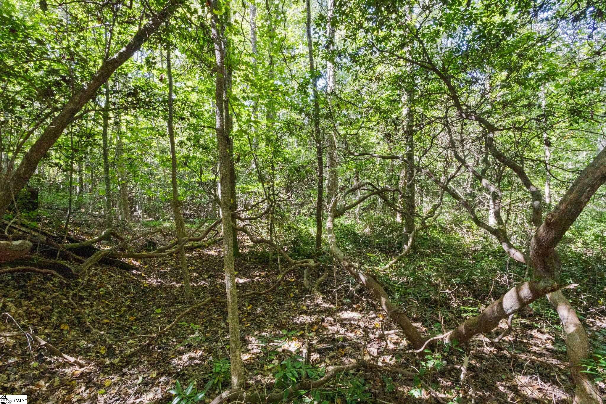 313 Arledge Road Landrum, SC 29356