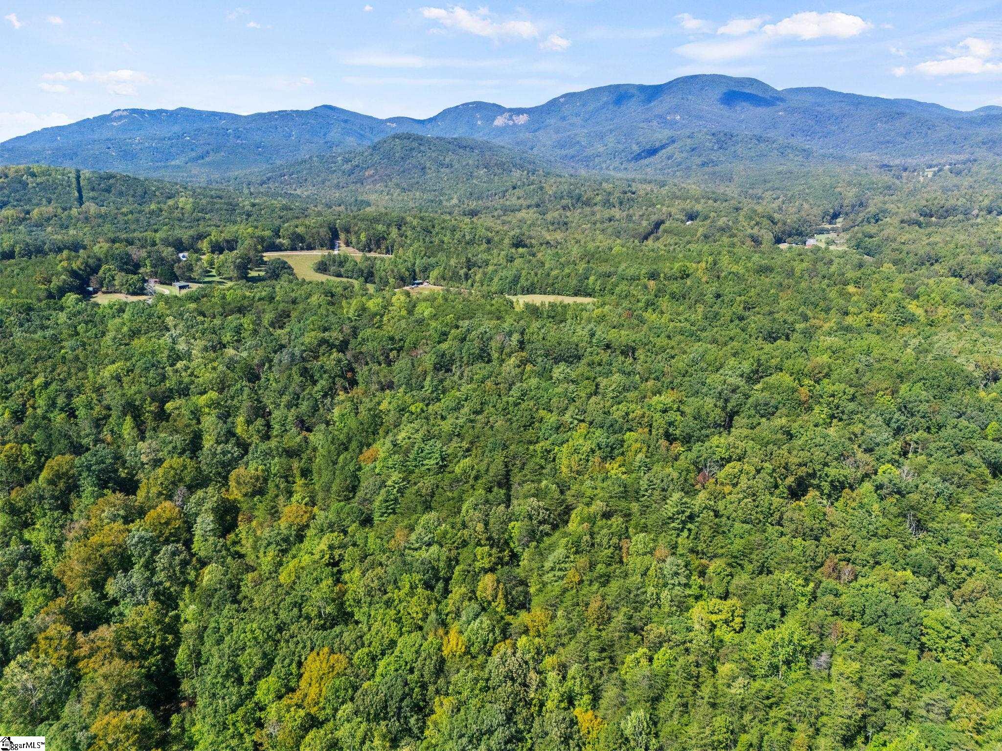313 Arledge Road Landrum, SC 29356