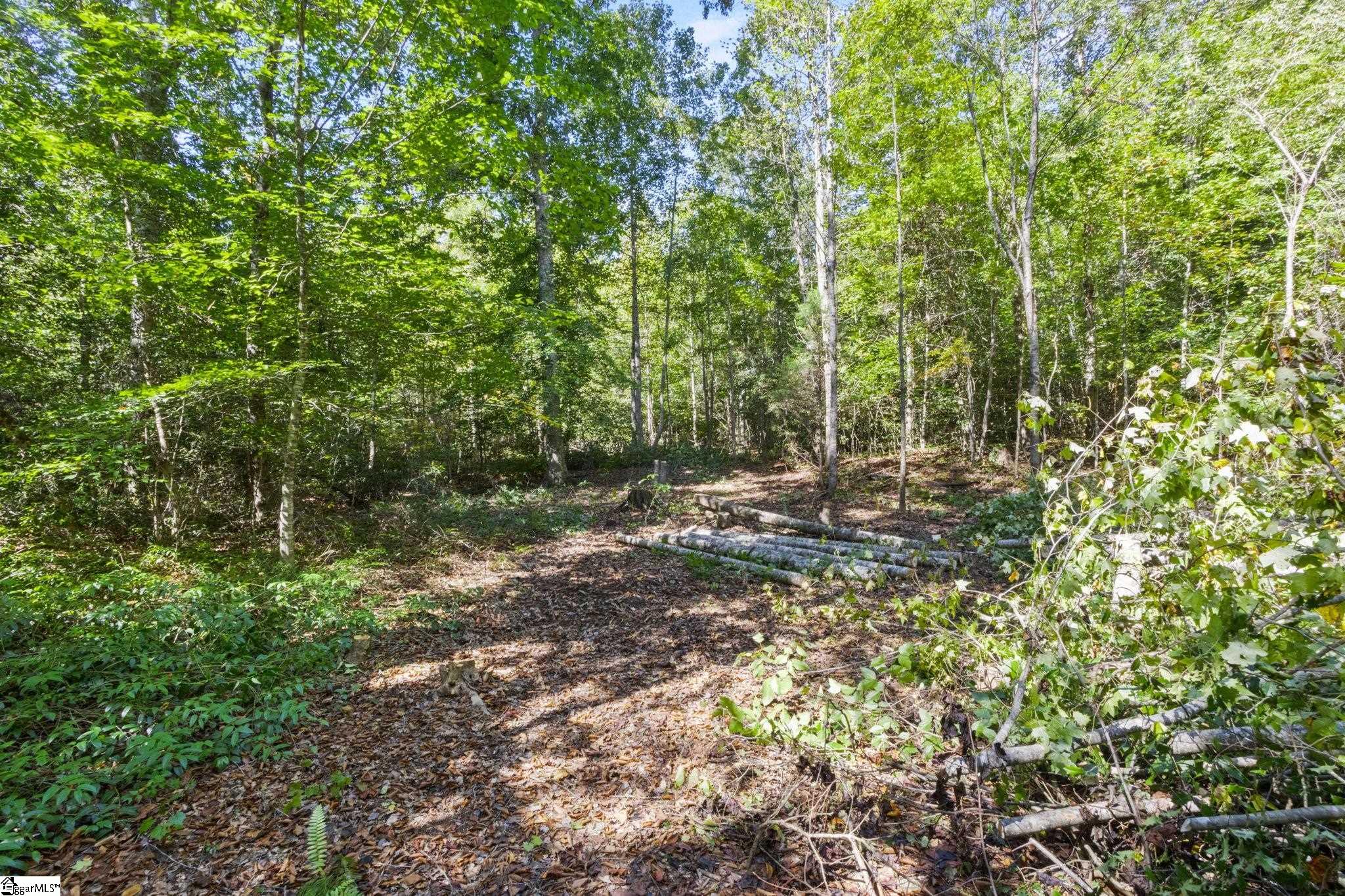 313 Arledge Road Landrum, SC 29356