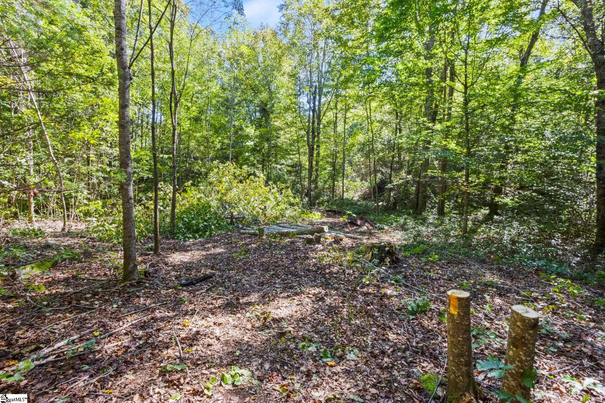 313 Arledge Road Landrum, SC 29356