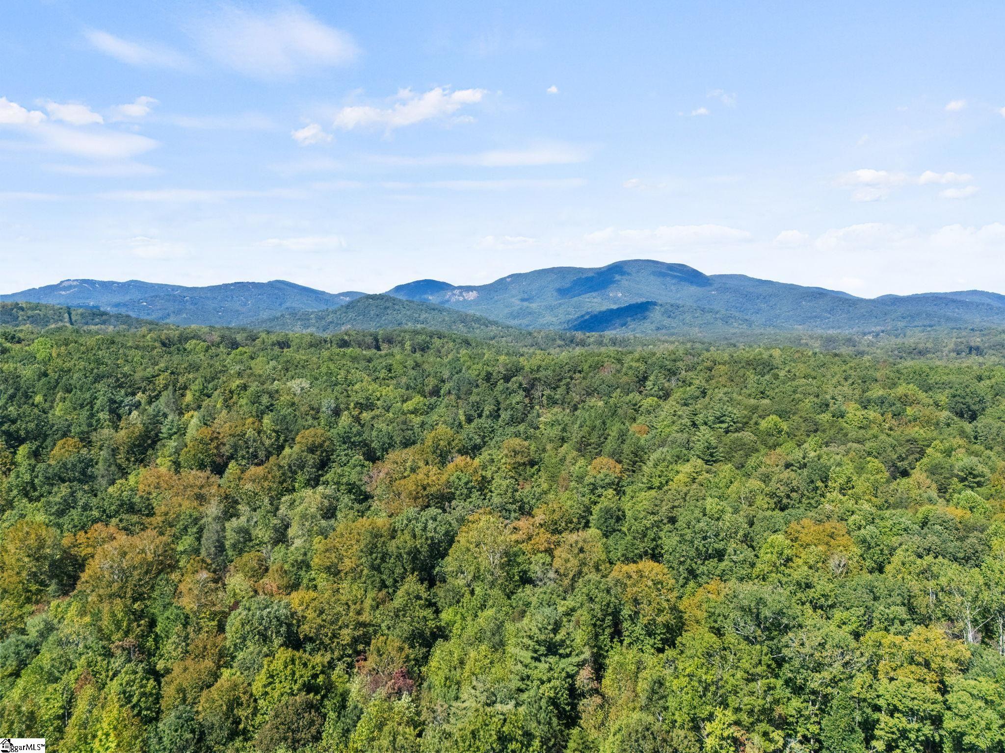 313 Arledge Road Landrum, SC 29356