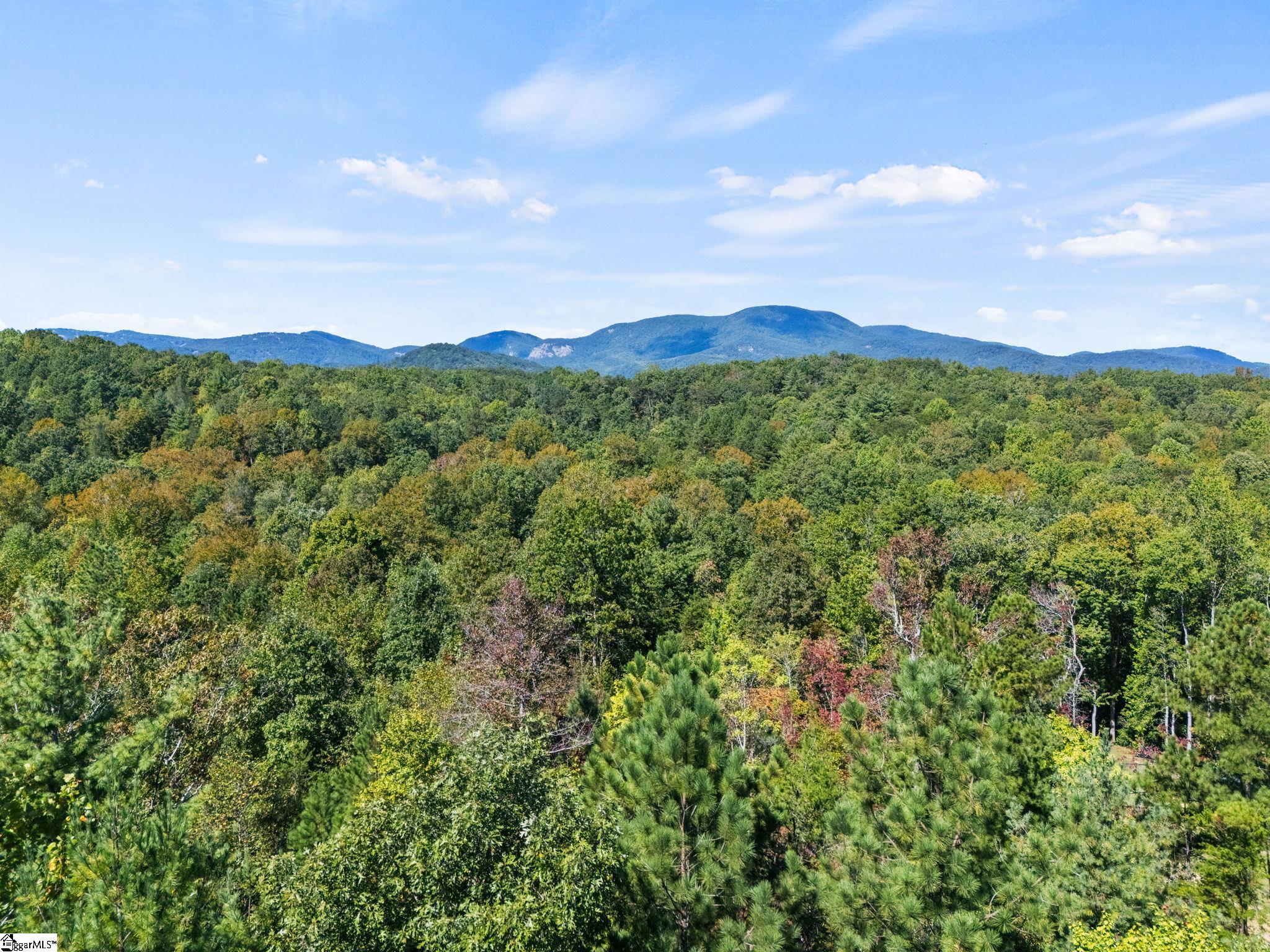 313 Arledge Road Landrum, SC 29356