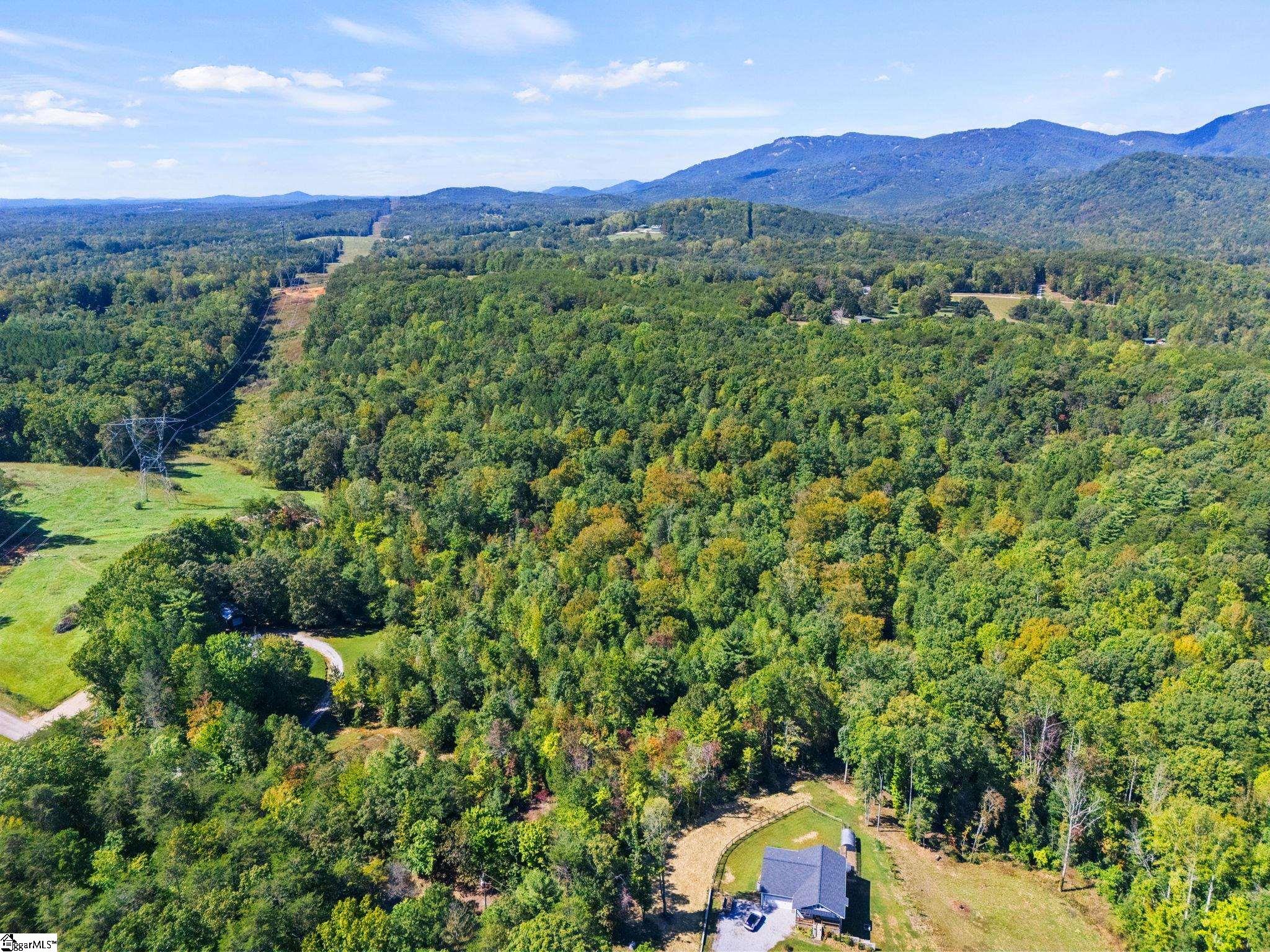 313 Arledge Road Landrum, SC 29356