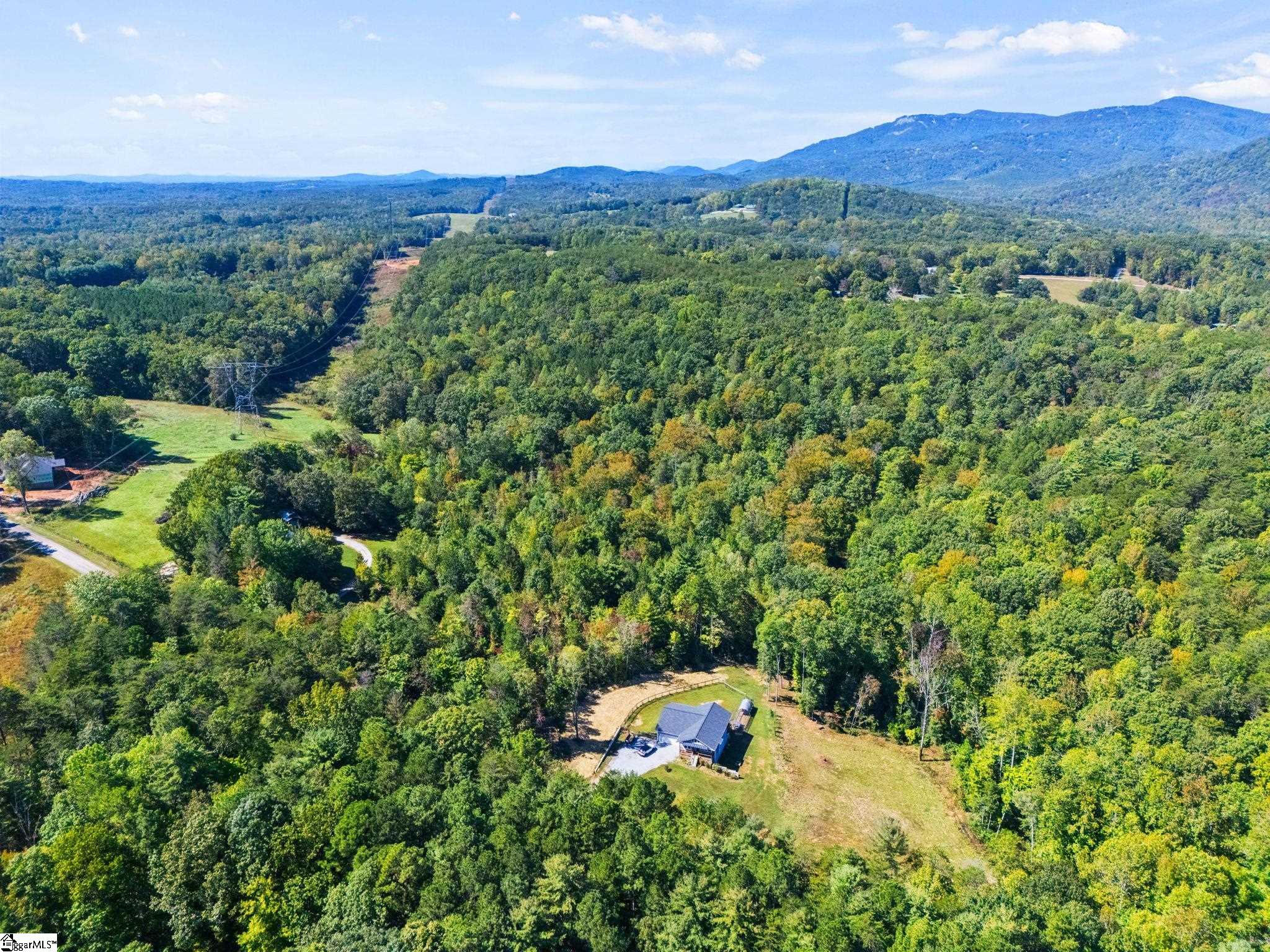 313 Arledge Road Landrum, SC 29356