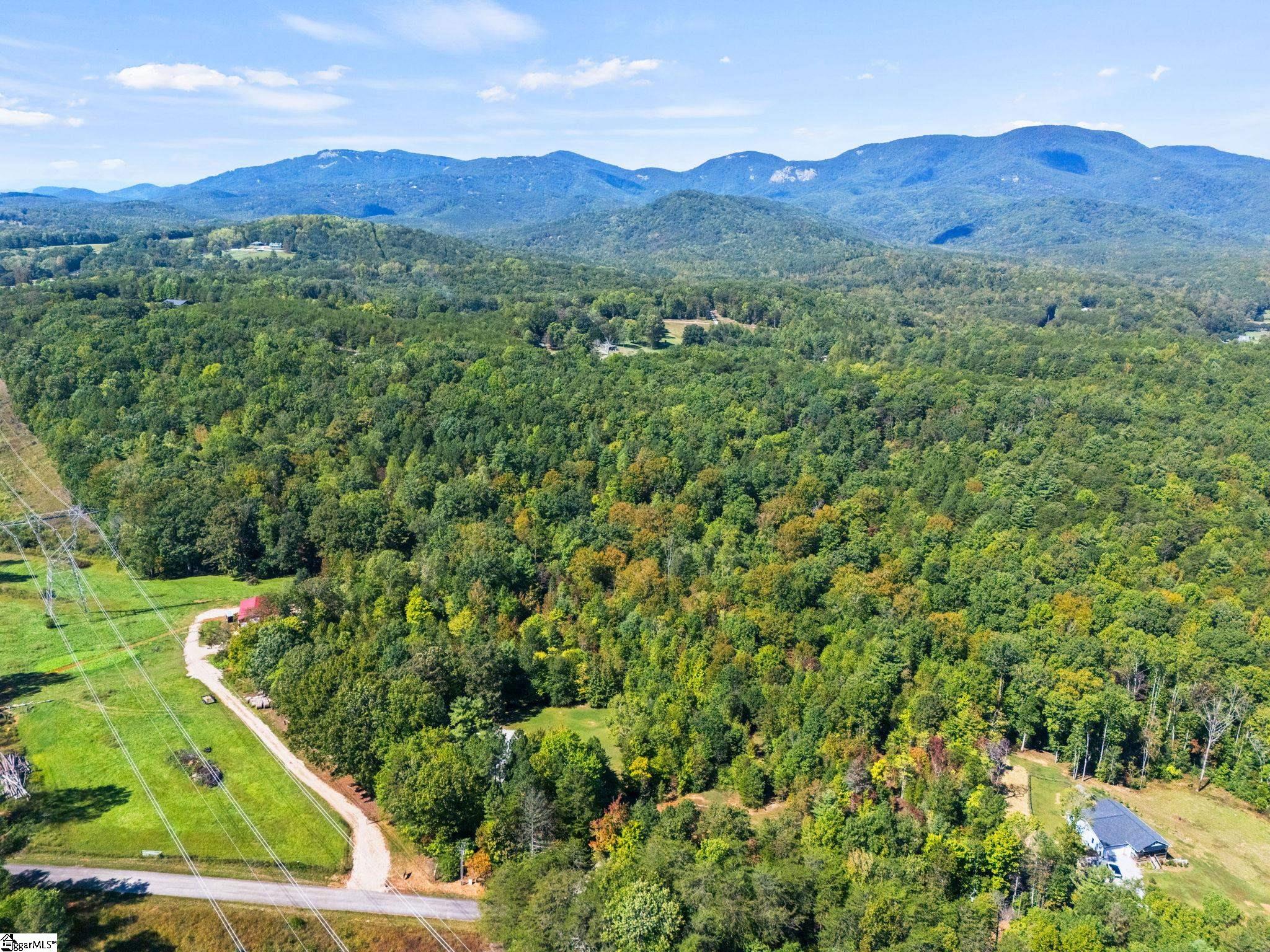 313 Arledge Road Landrum, SC 29356