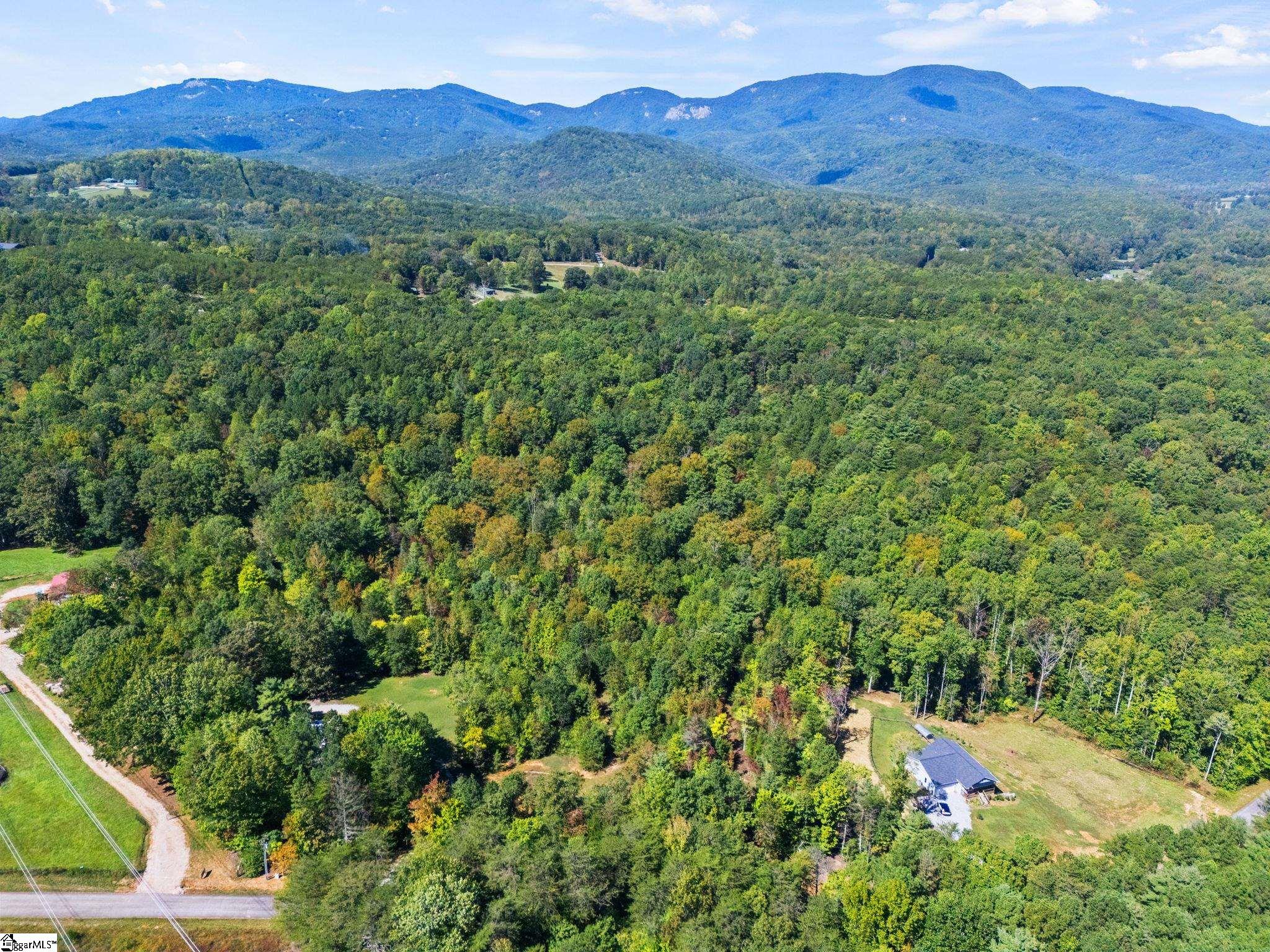 313 Arledge Road Landrum, SC 29356