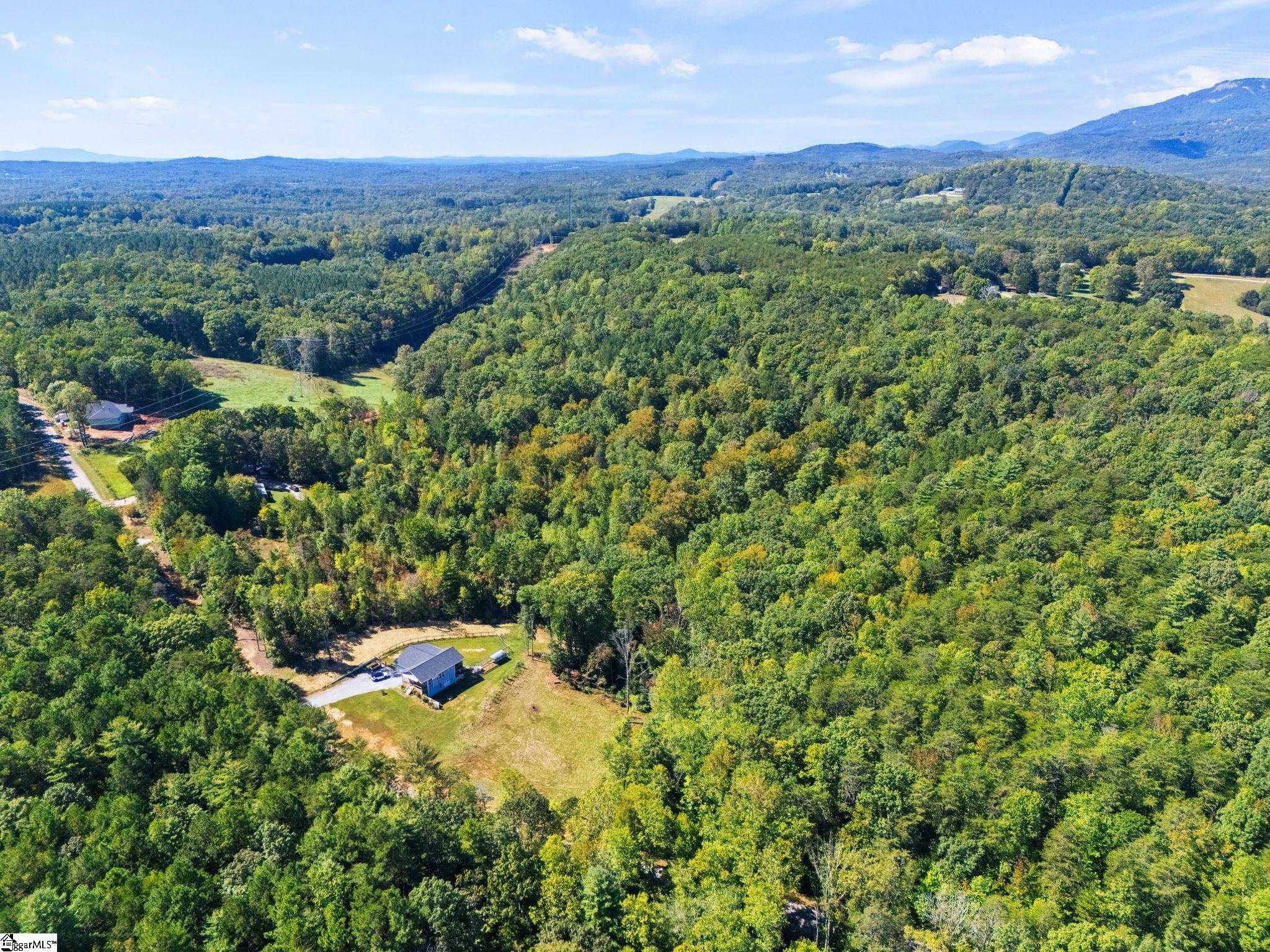 313 Arledge Road Landrum, SC 29356
