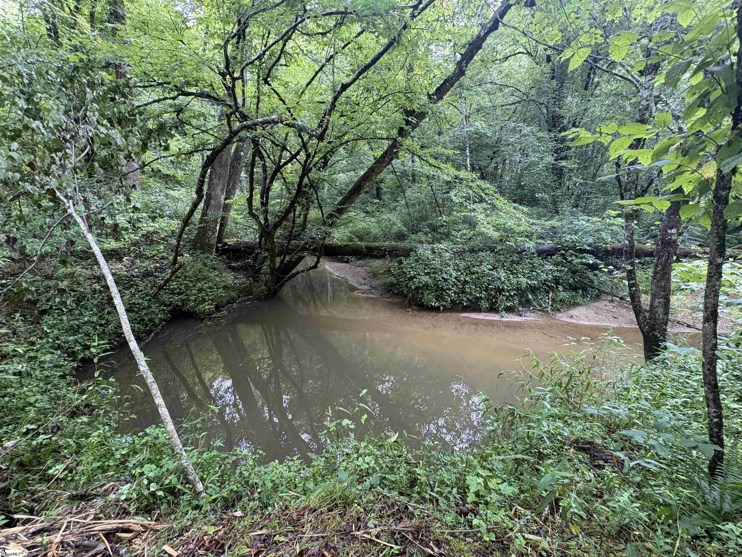 00 Little River Road