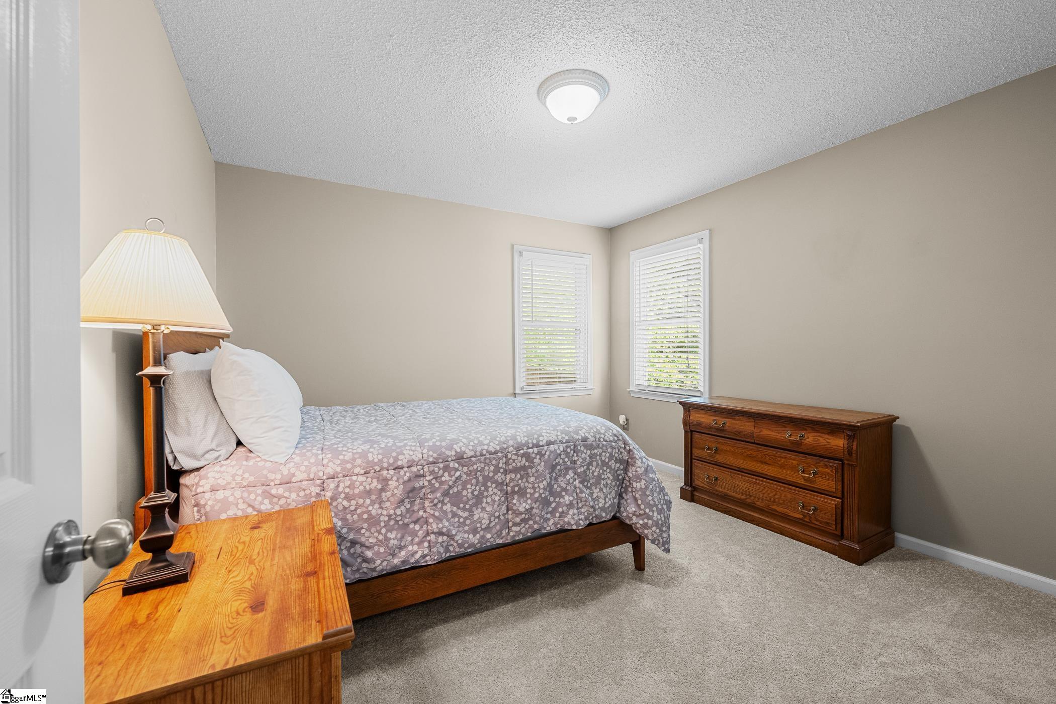 204 Torrey Court Simpsonville, SC 29680-6743