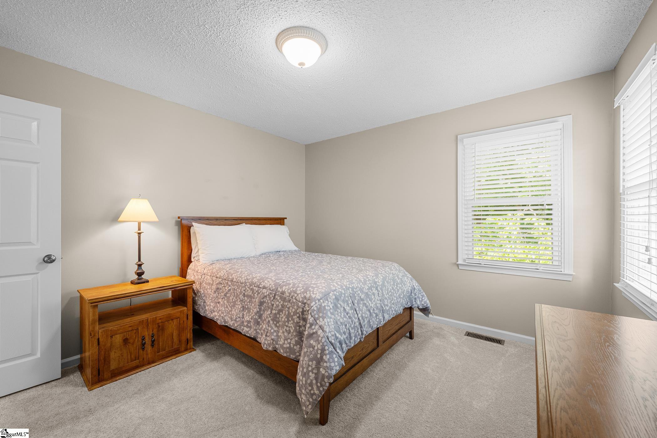 204 Torrey Court Simpsonville, SC 29680-6743