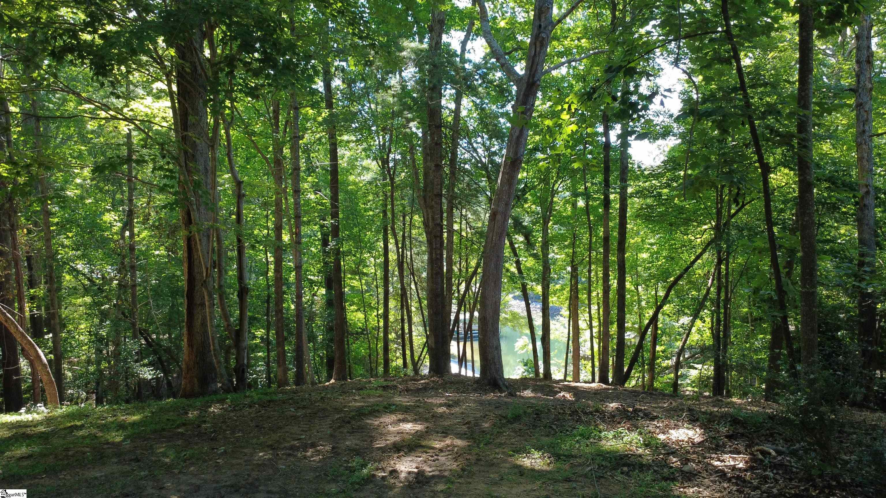 601 Wind Flower Drive Sunset, SC 29685