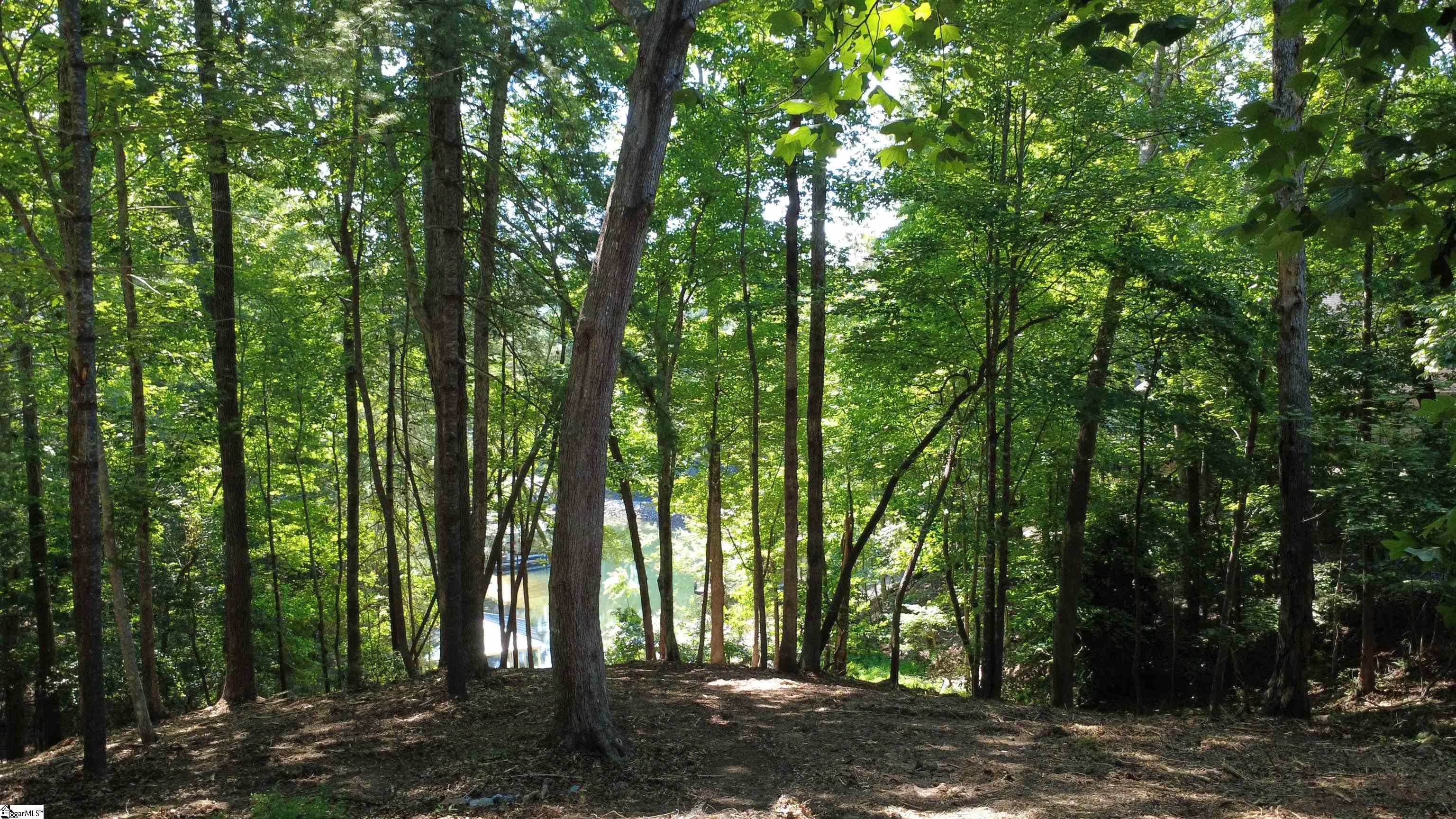 601 Wind Flower Drive Sunset, SC 29685