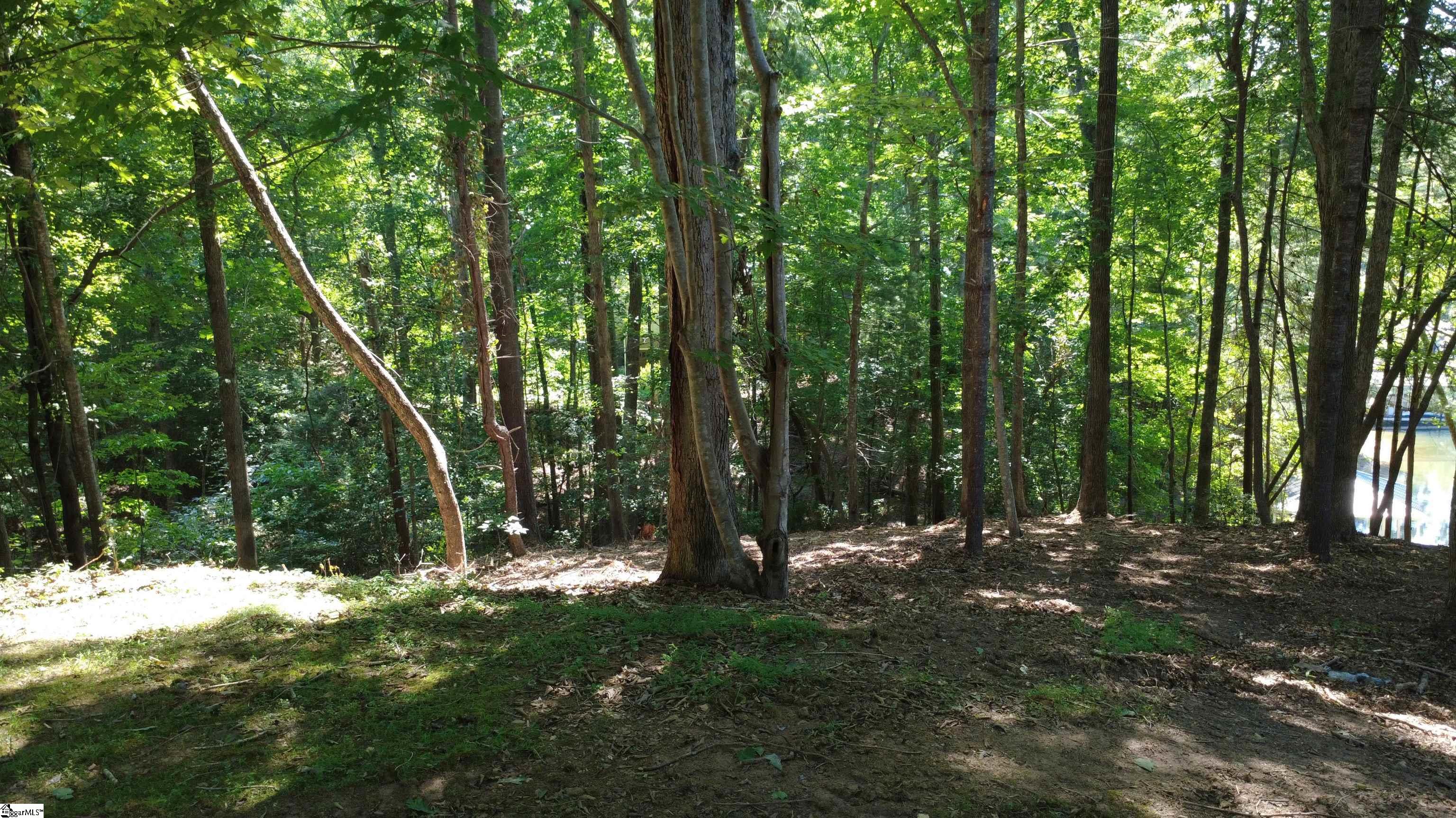 601 Wind Flower Drive Sunset, SC 29685