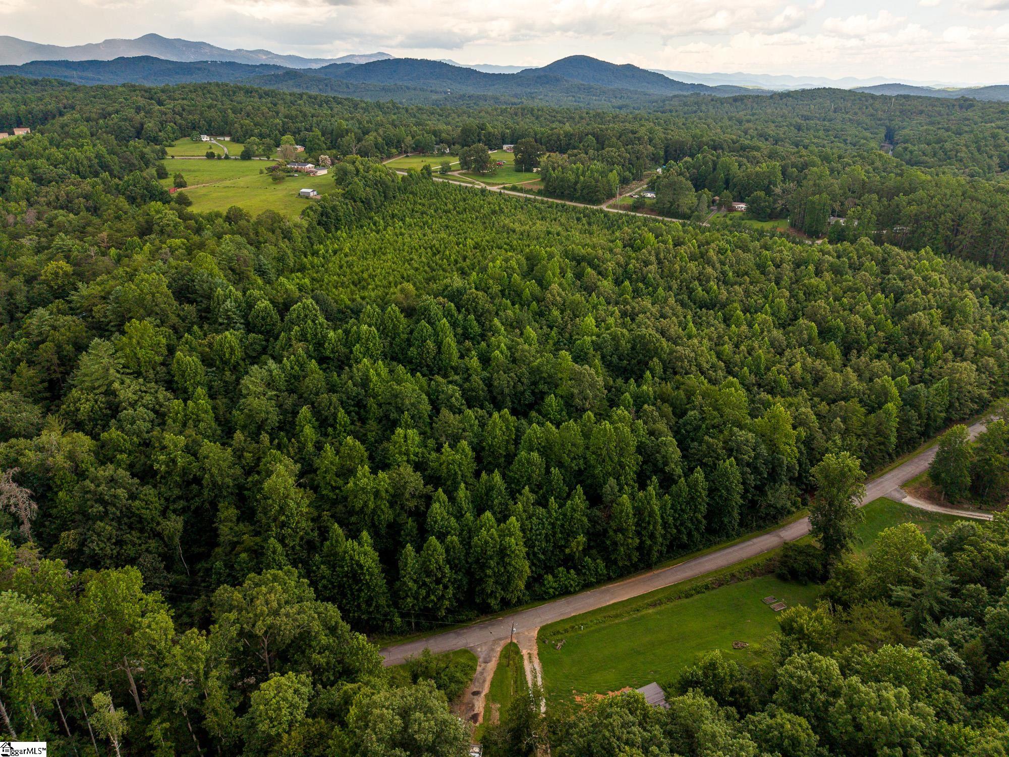 01 Hagood Mill Road Pickens, SC 29671
