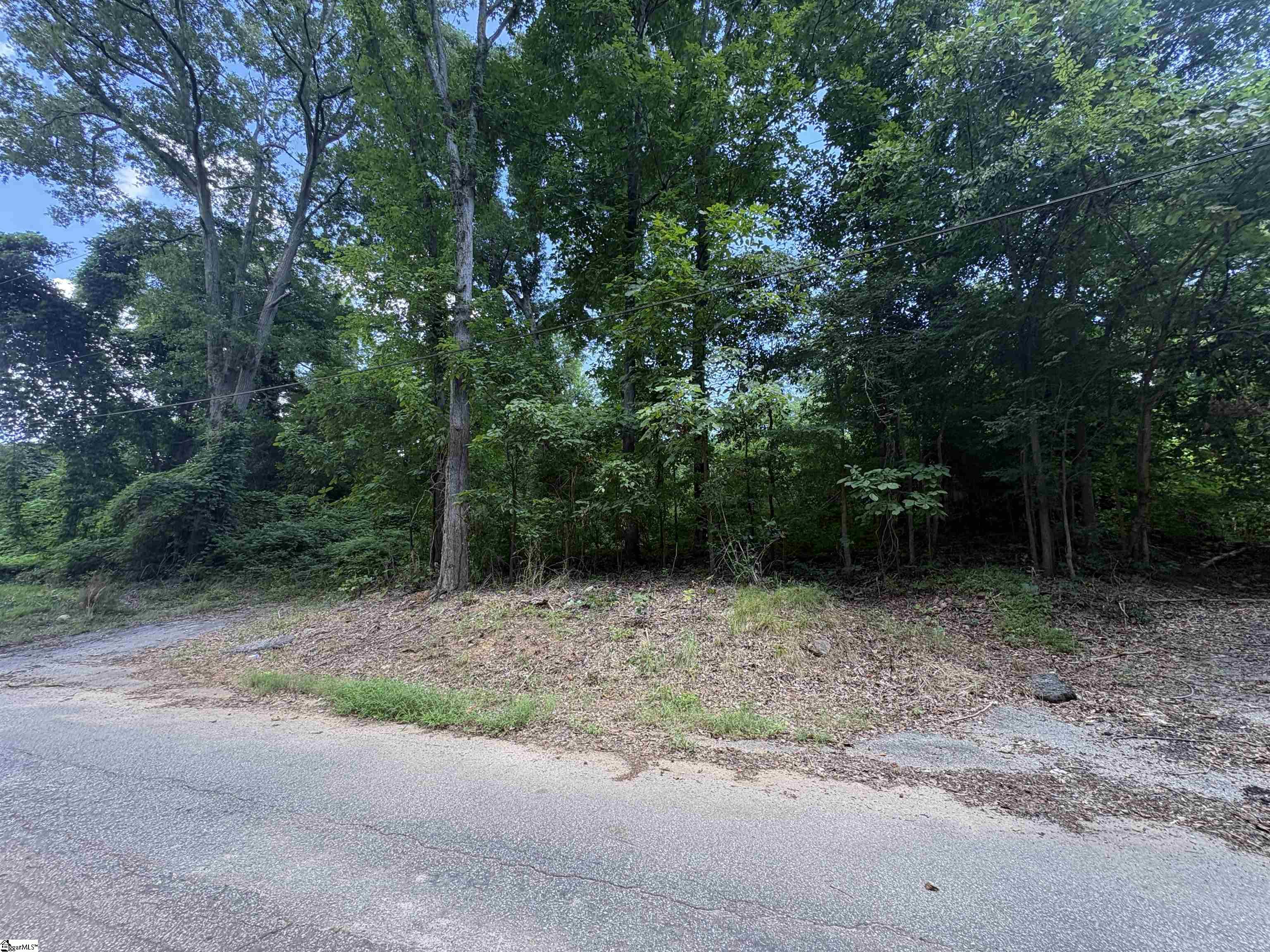 103 Jersey Street Laurens, SC 29360