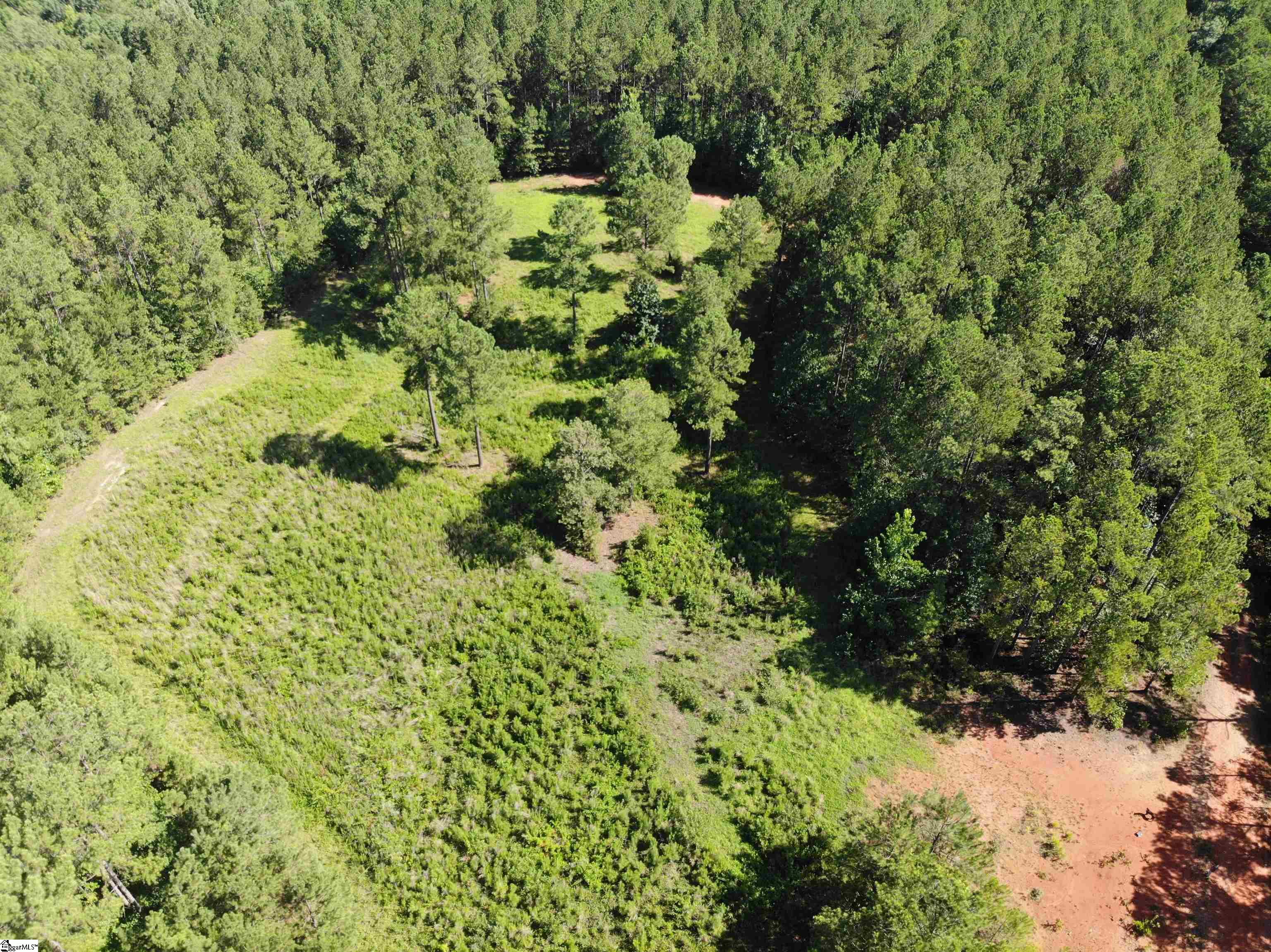 Walker Road Edgefield, SC 29824