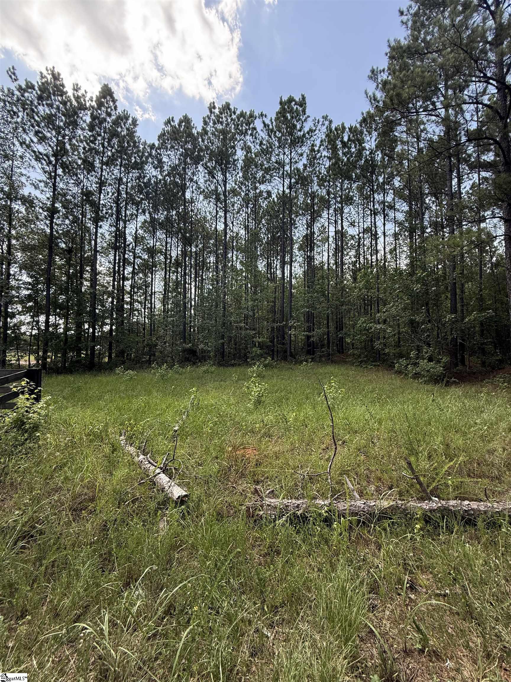 Walker Road Edgefield, SC 29824