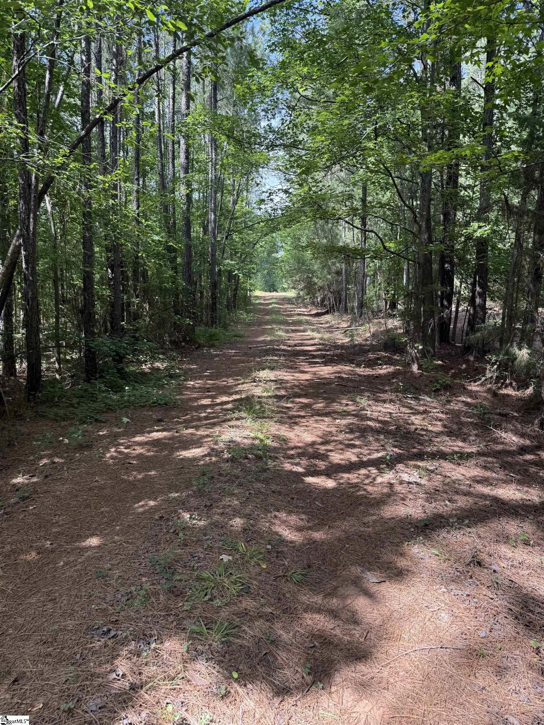 Walker Road Edgefield, SC 29824