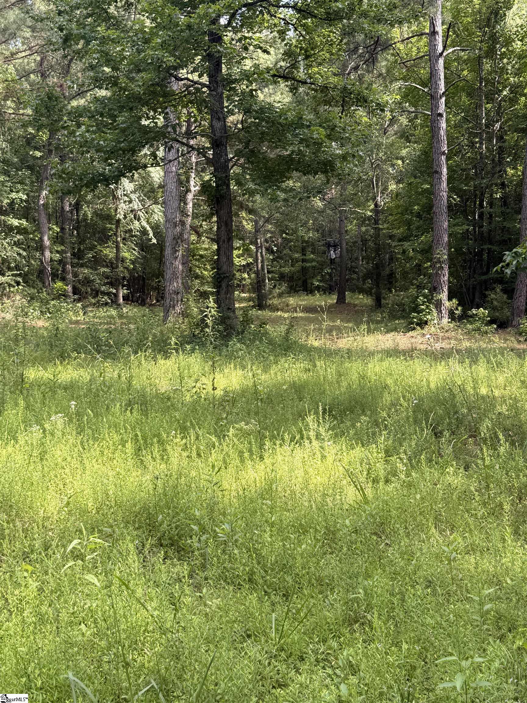 Walker Road Edgefield, SC 29824