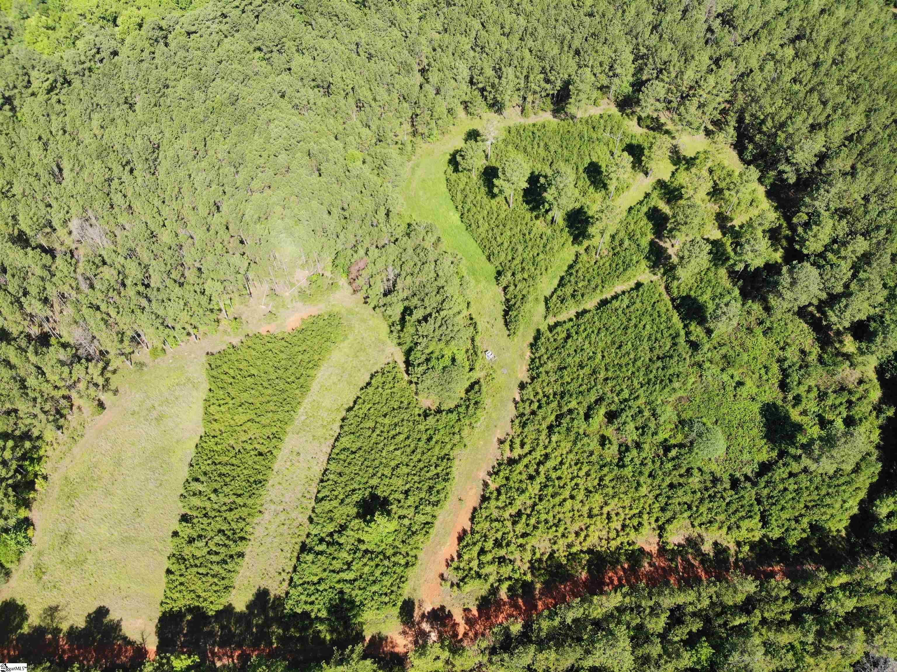 Walker Road Edgefield, SC 29824