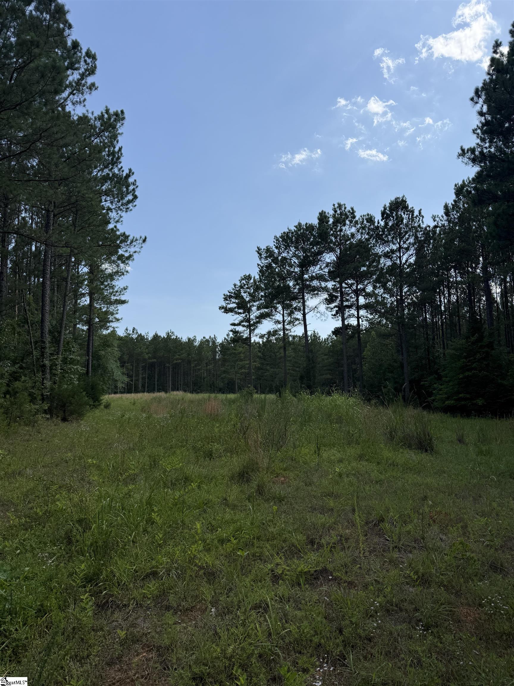 Walker Road Edgefield, SC 29824