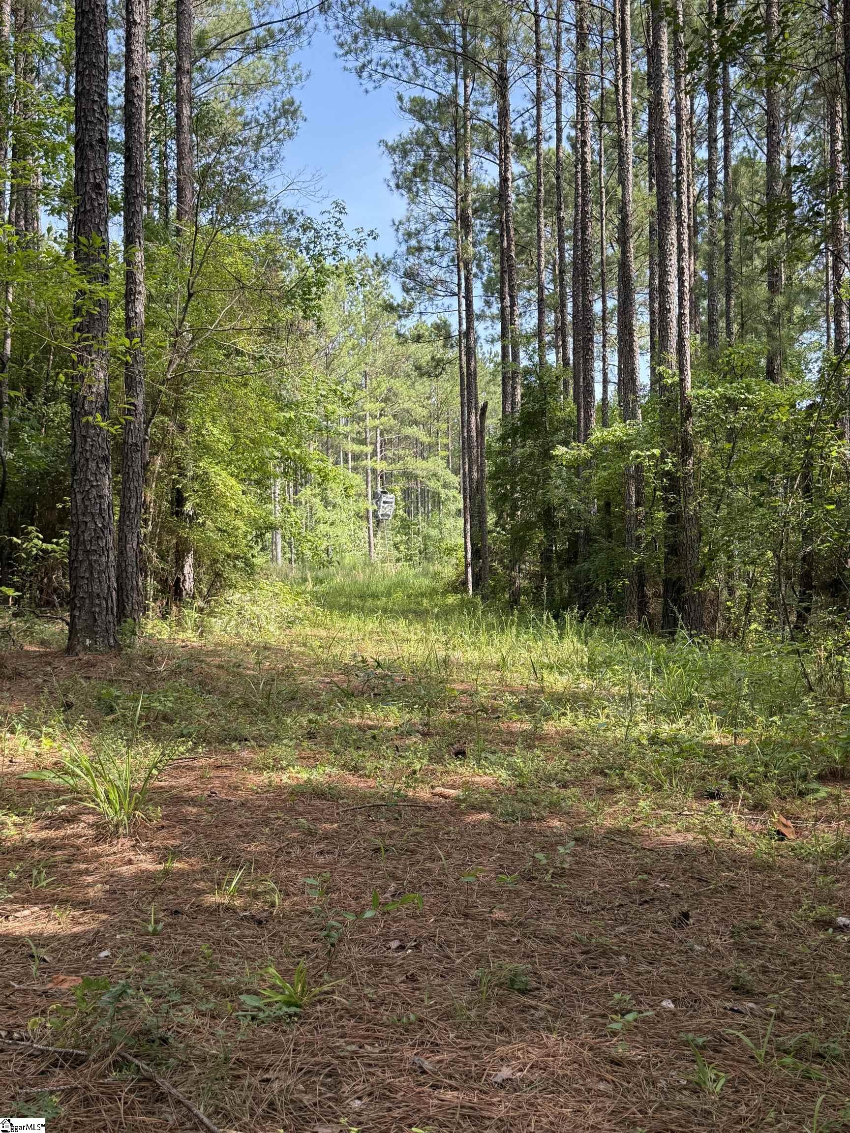 Walker Road Edgefield, SC 29824