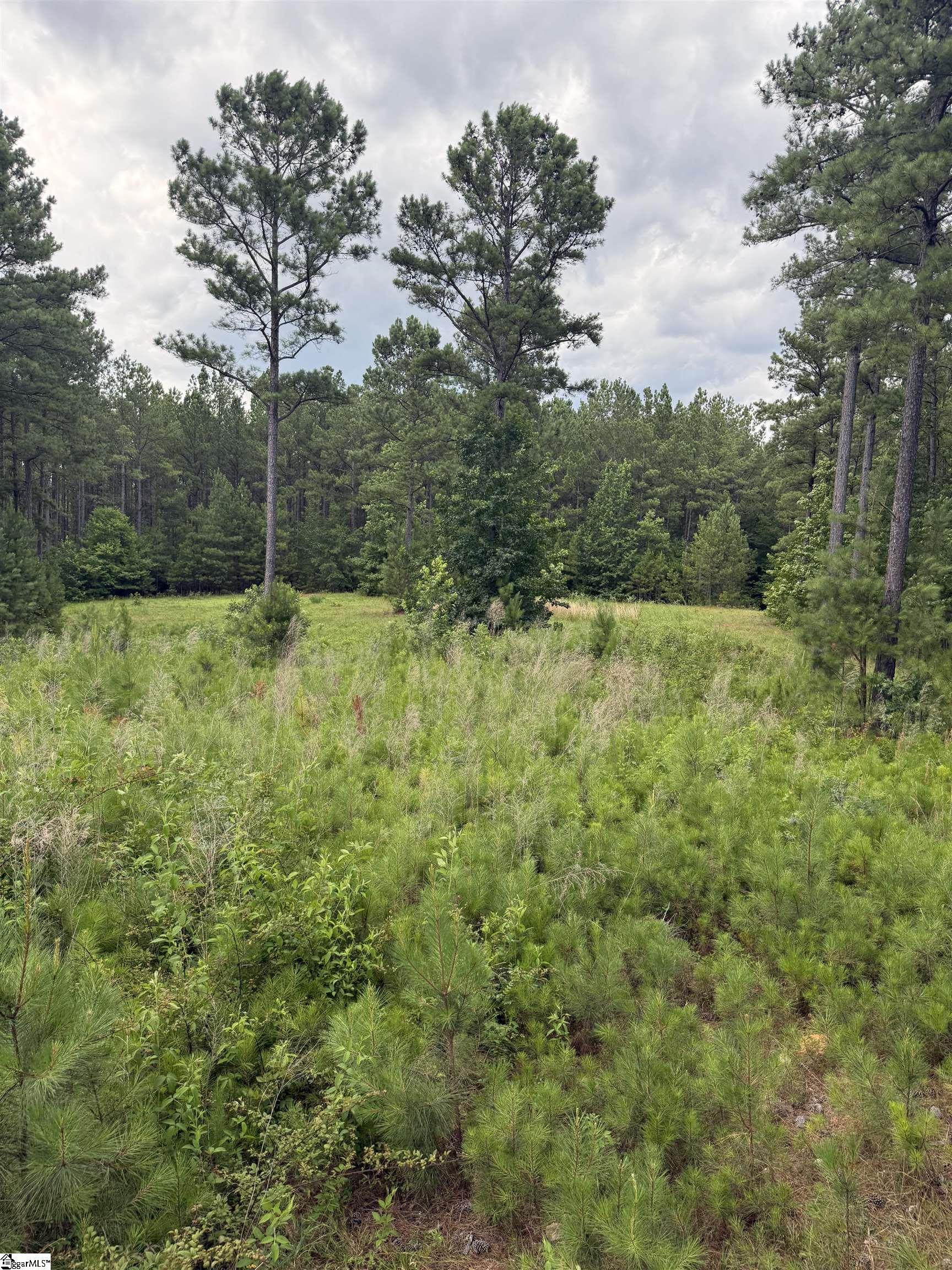 Walker Road Edgefield, SC 29824