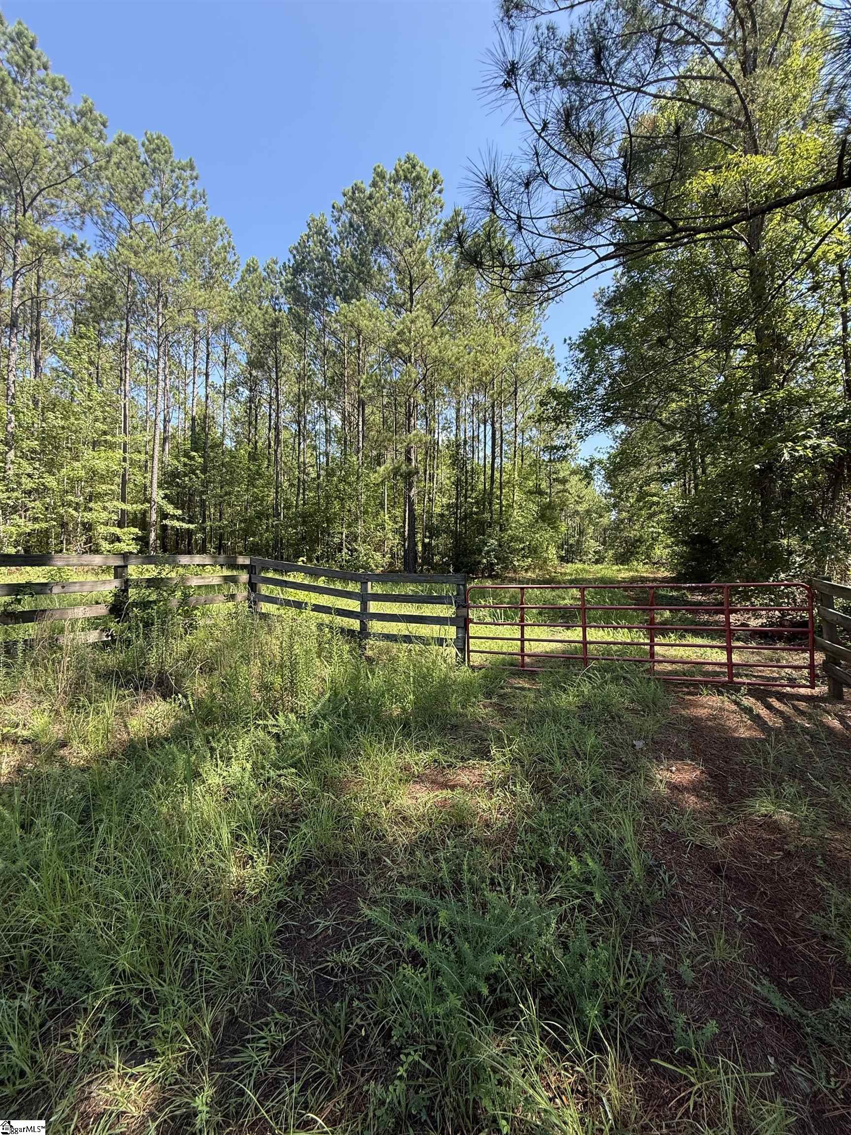 Walker Road Edgefield, SC 29824